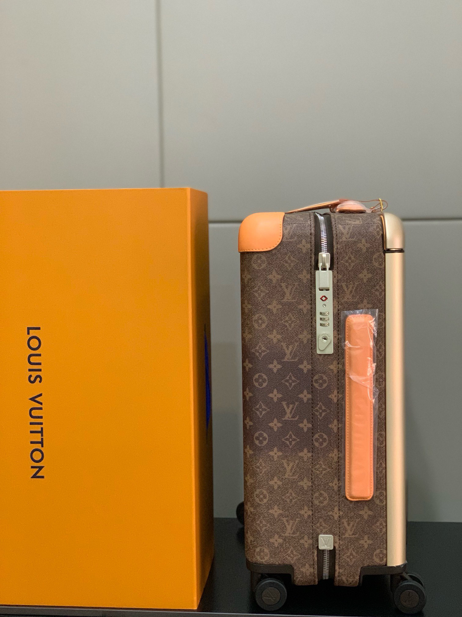LV luggage-29