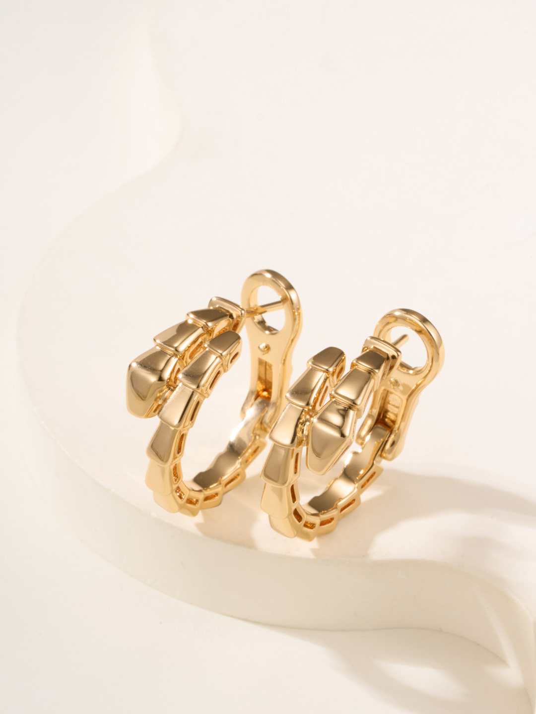 Bottega Veneta earrings-23