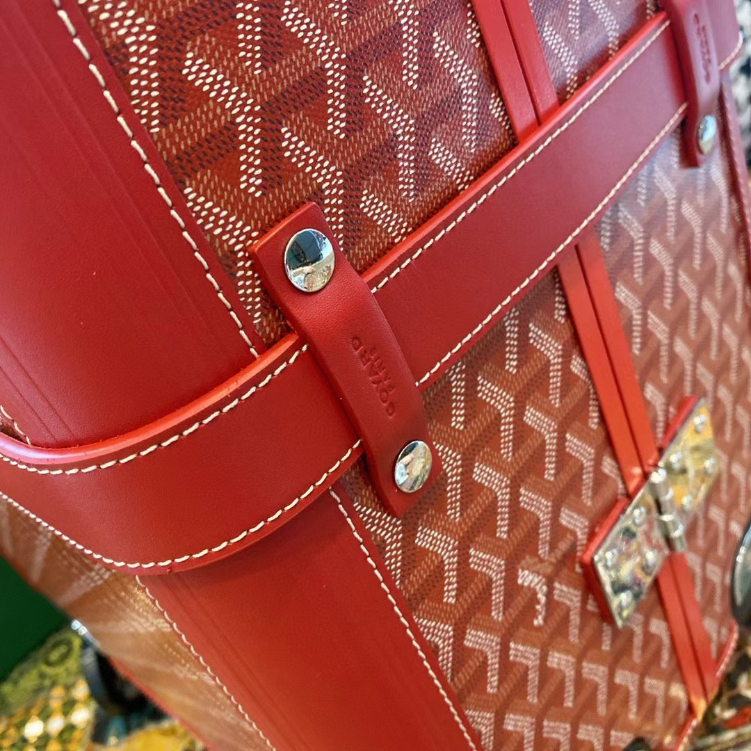 Goyard luggage-17