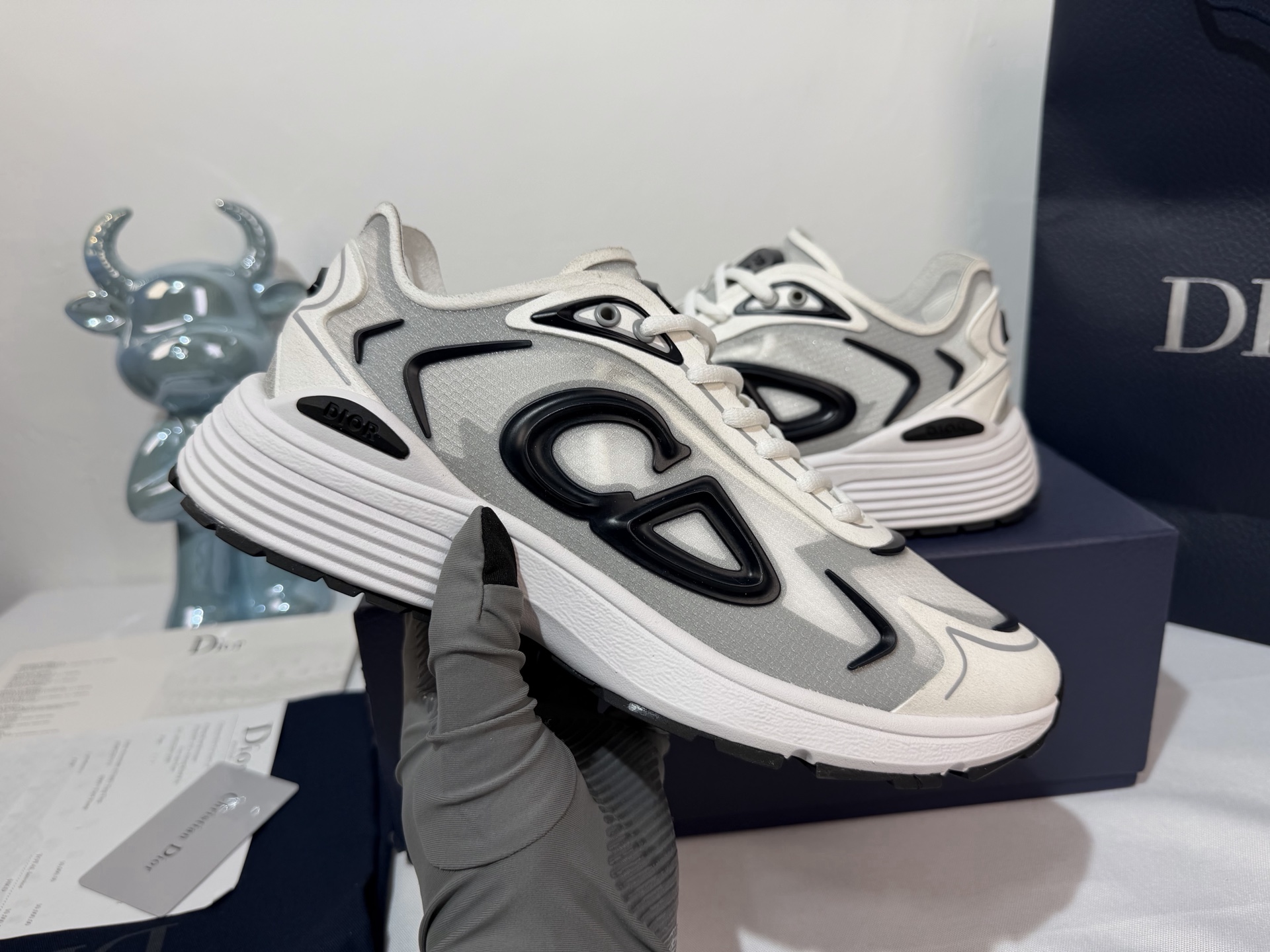 Dior Sneakers-74