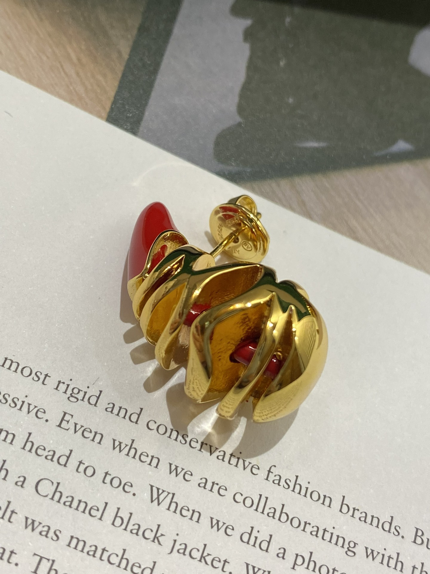 Bottega Veneta earrings-50