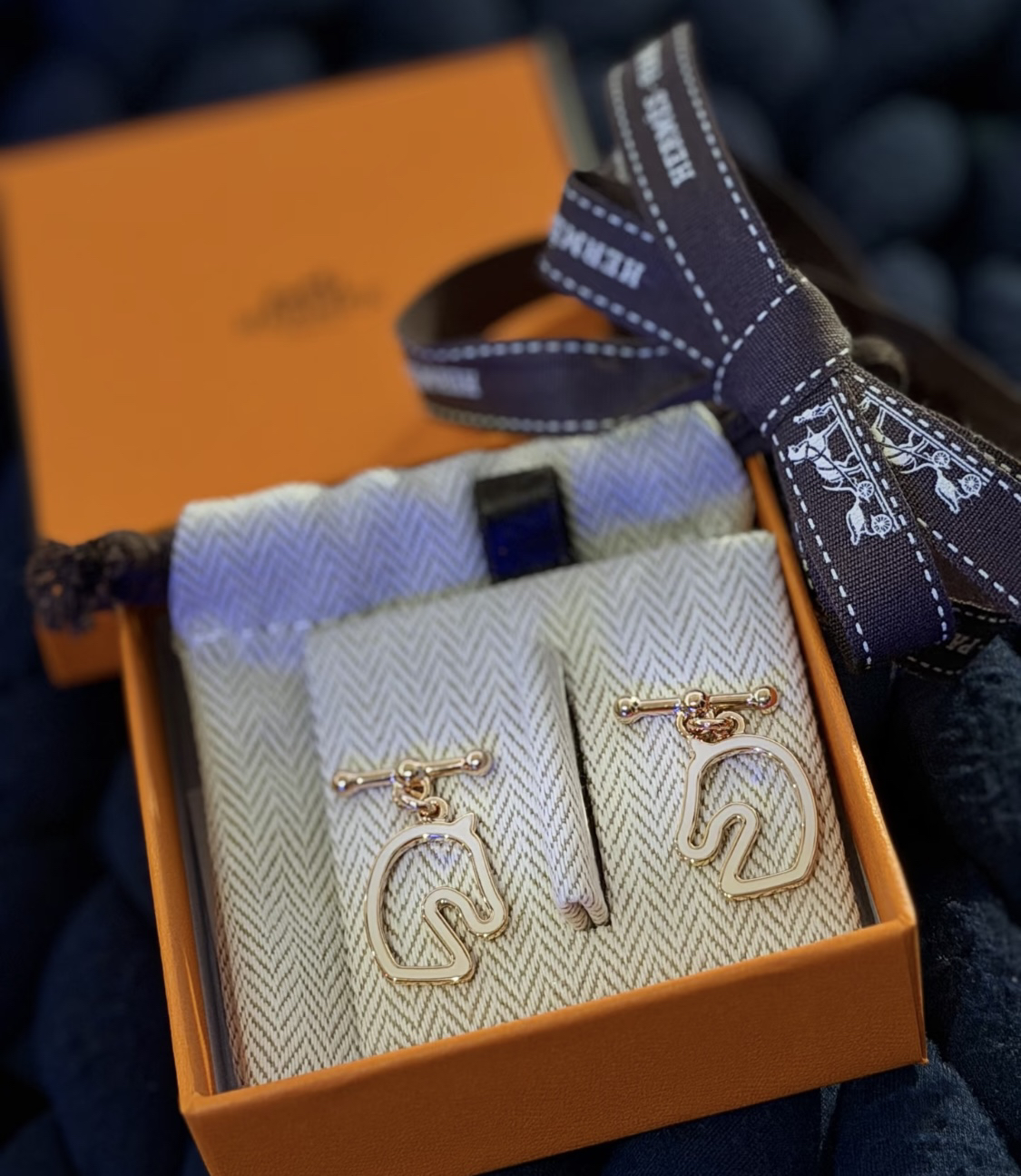 Hermes earrings-3