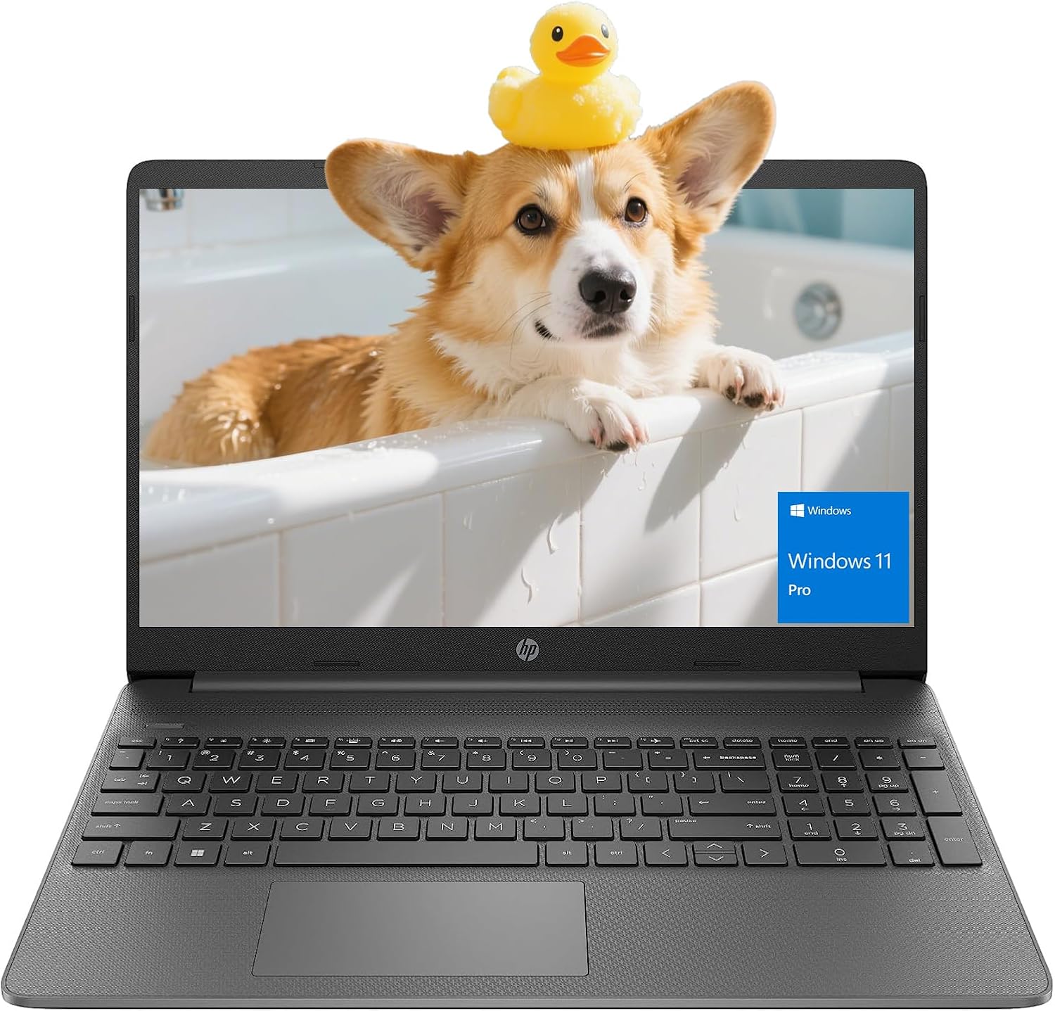 HP 15.6