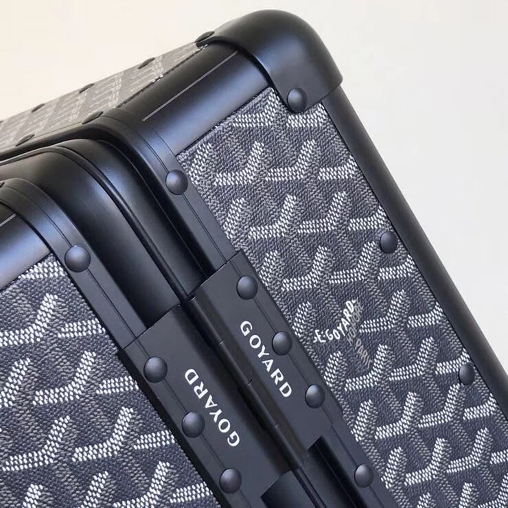 Goyard luggage-50