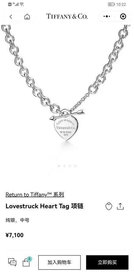 tiffany necklace-94