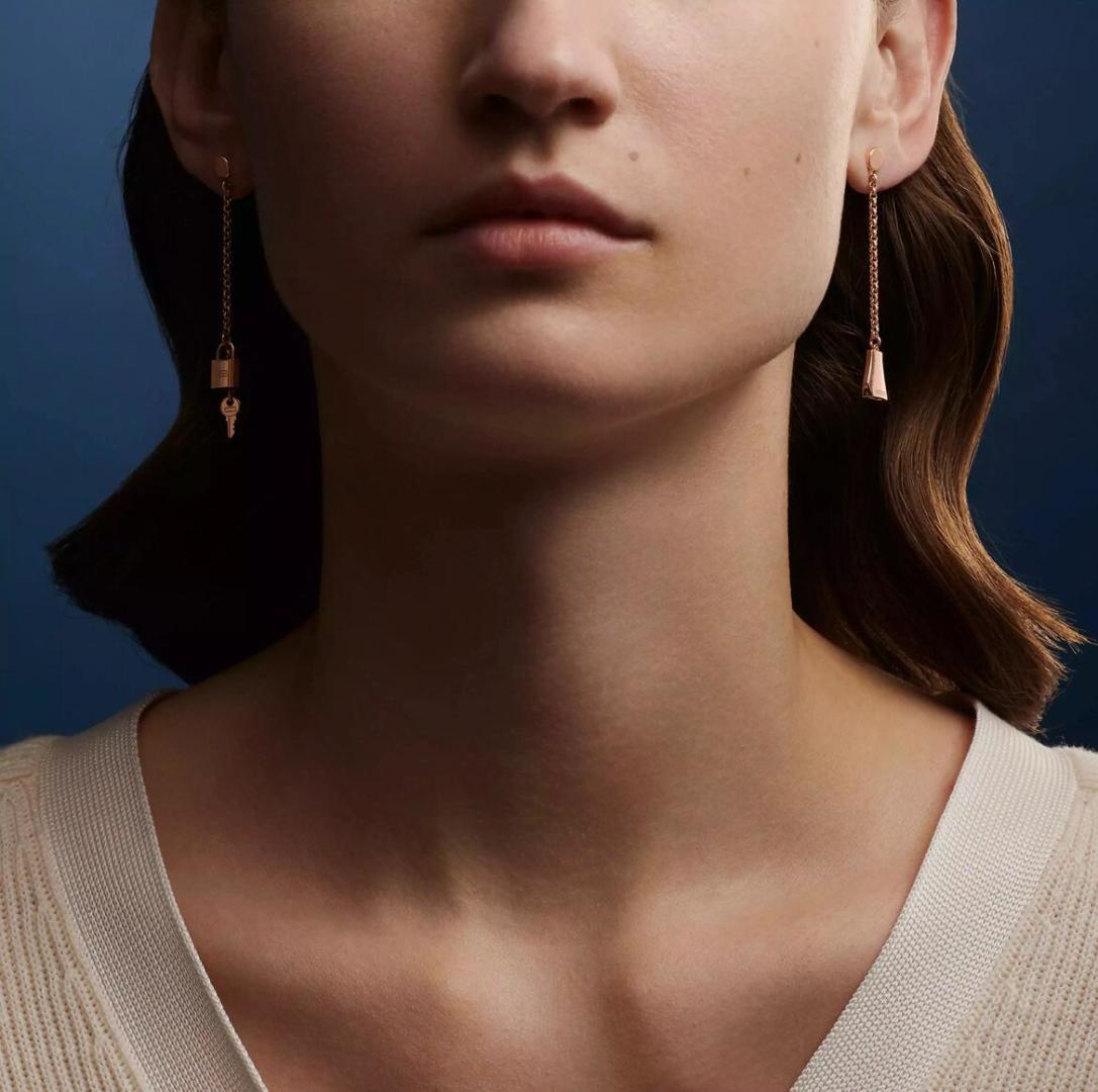 Hermes earrings-33