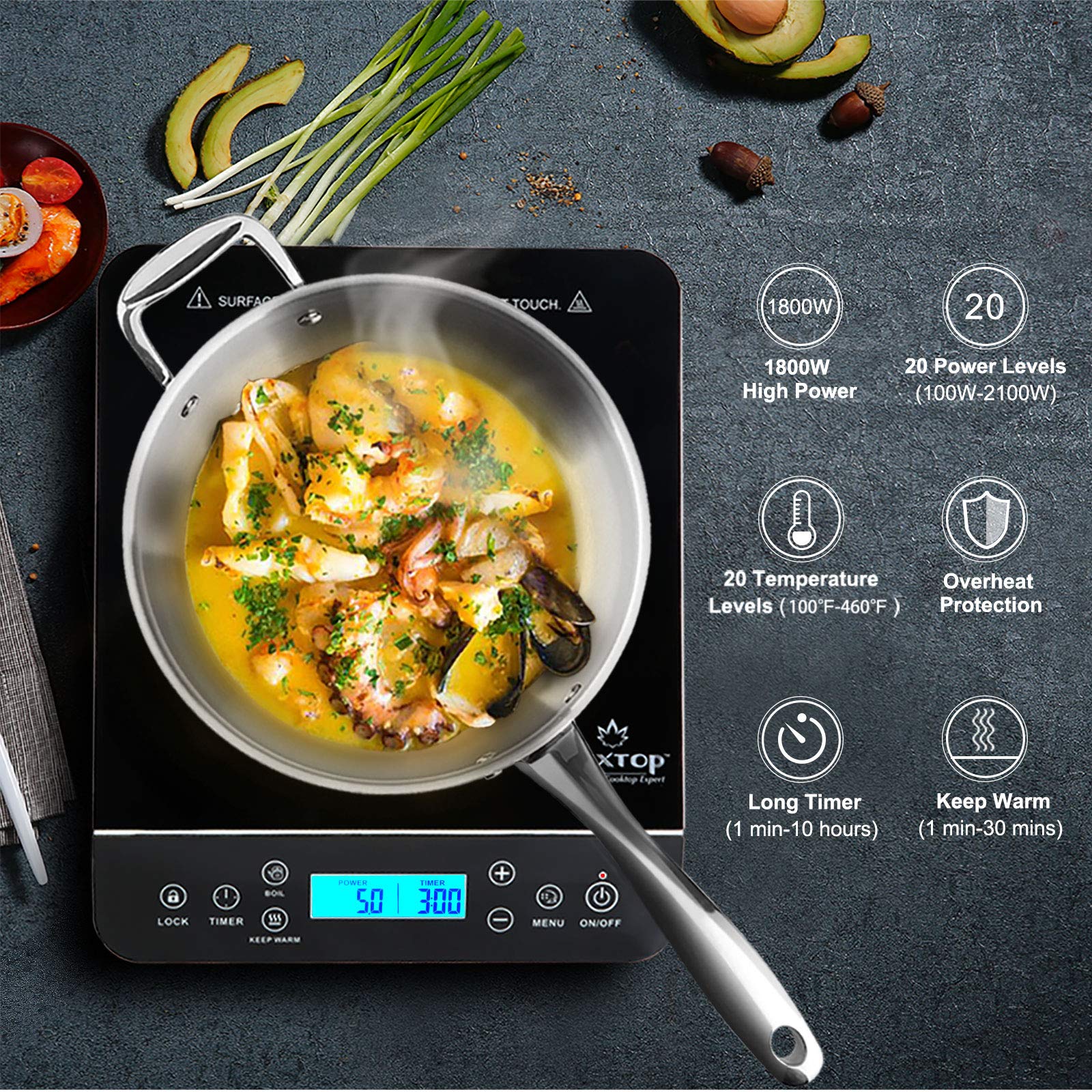 DUXTOP Portable Induction Cooktop 1800W with LCD Touch