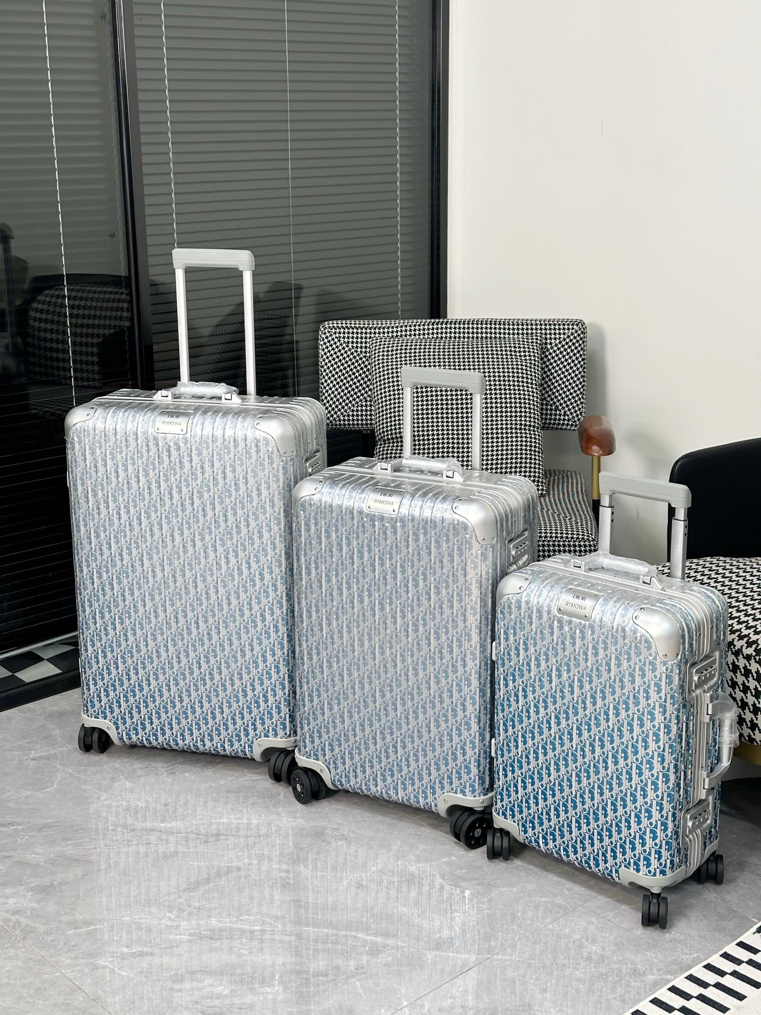 Dior luggage-18