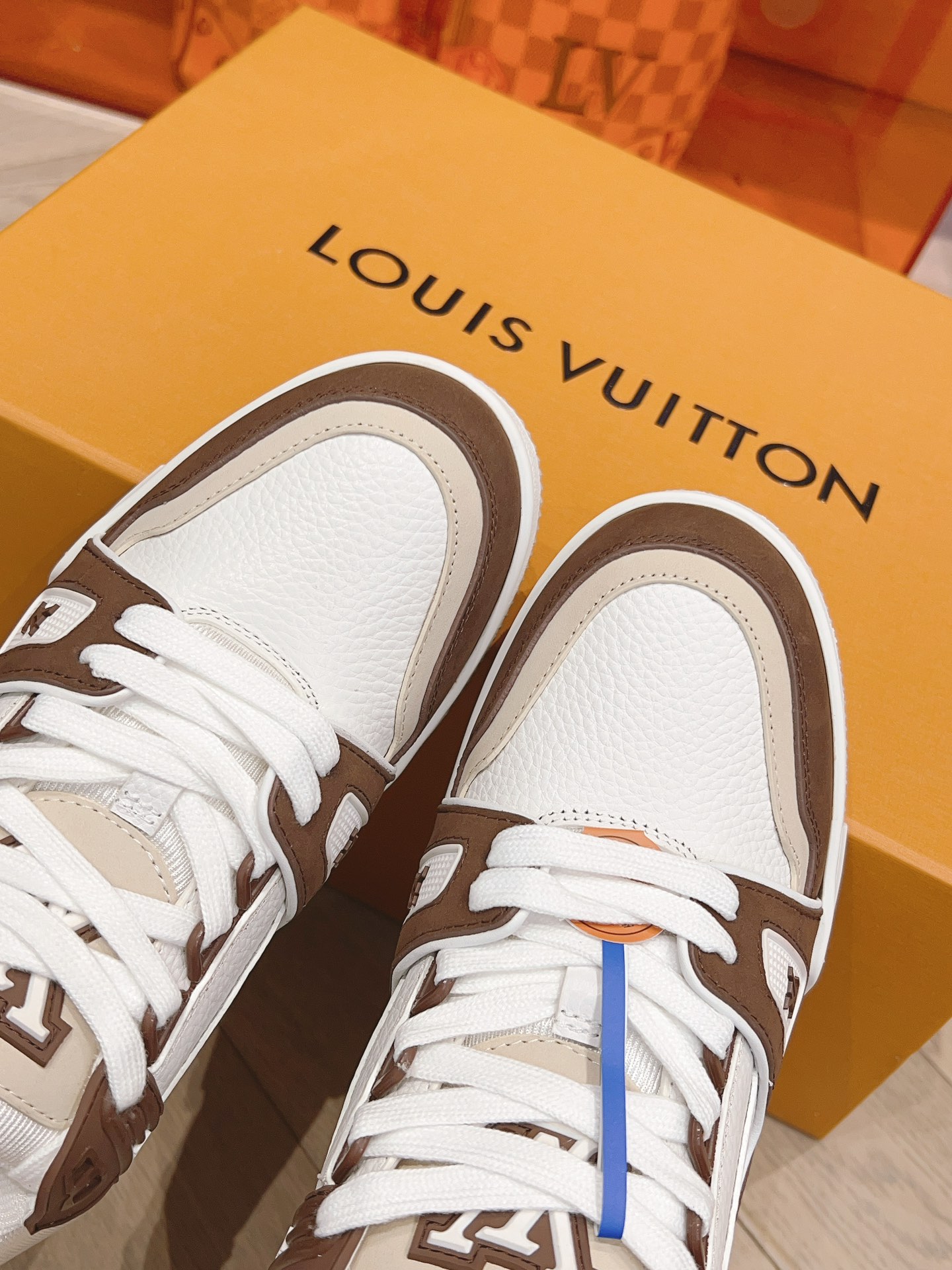 Lv Sneakers-10