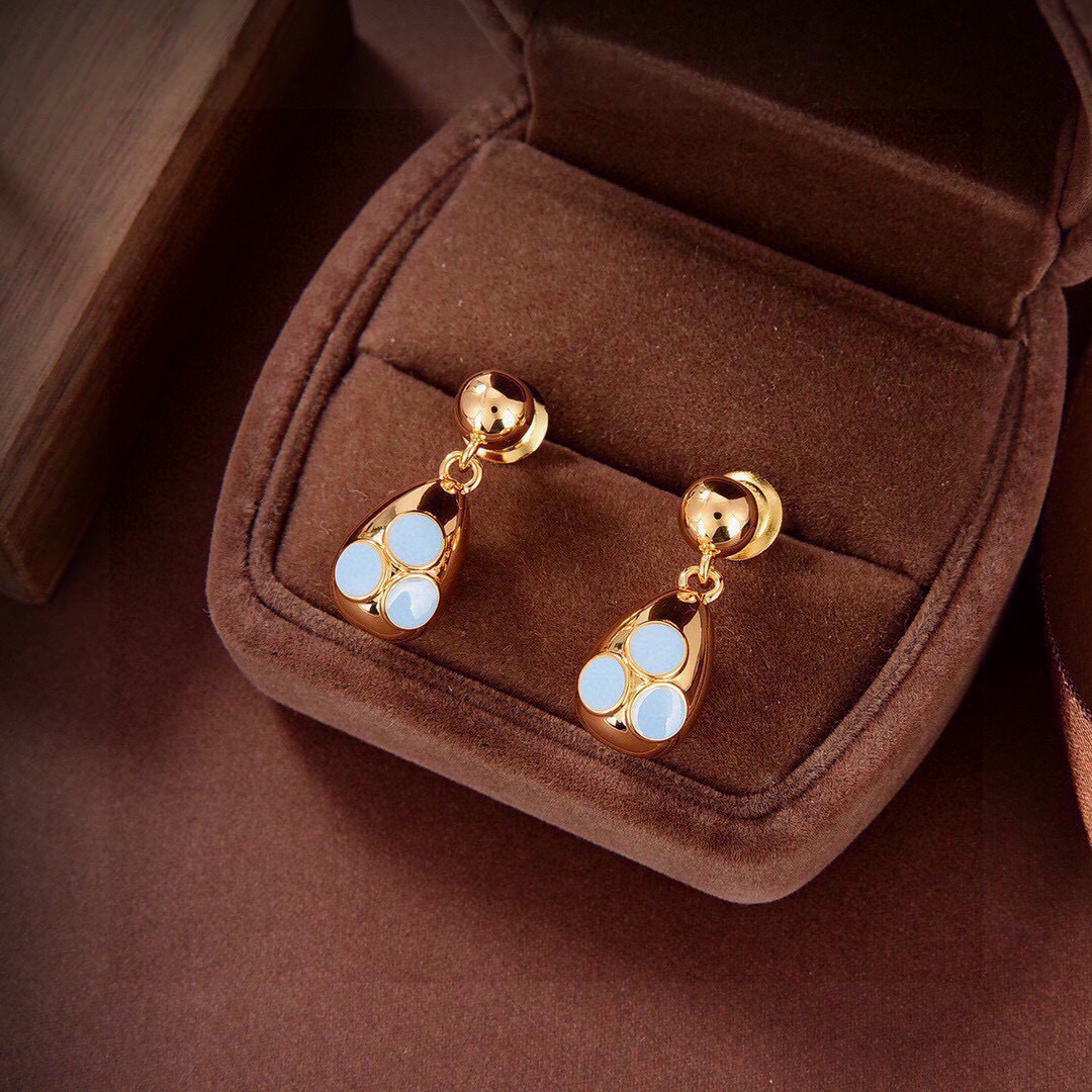 Bottega Veneta earrings-9