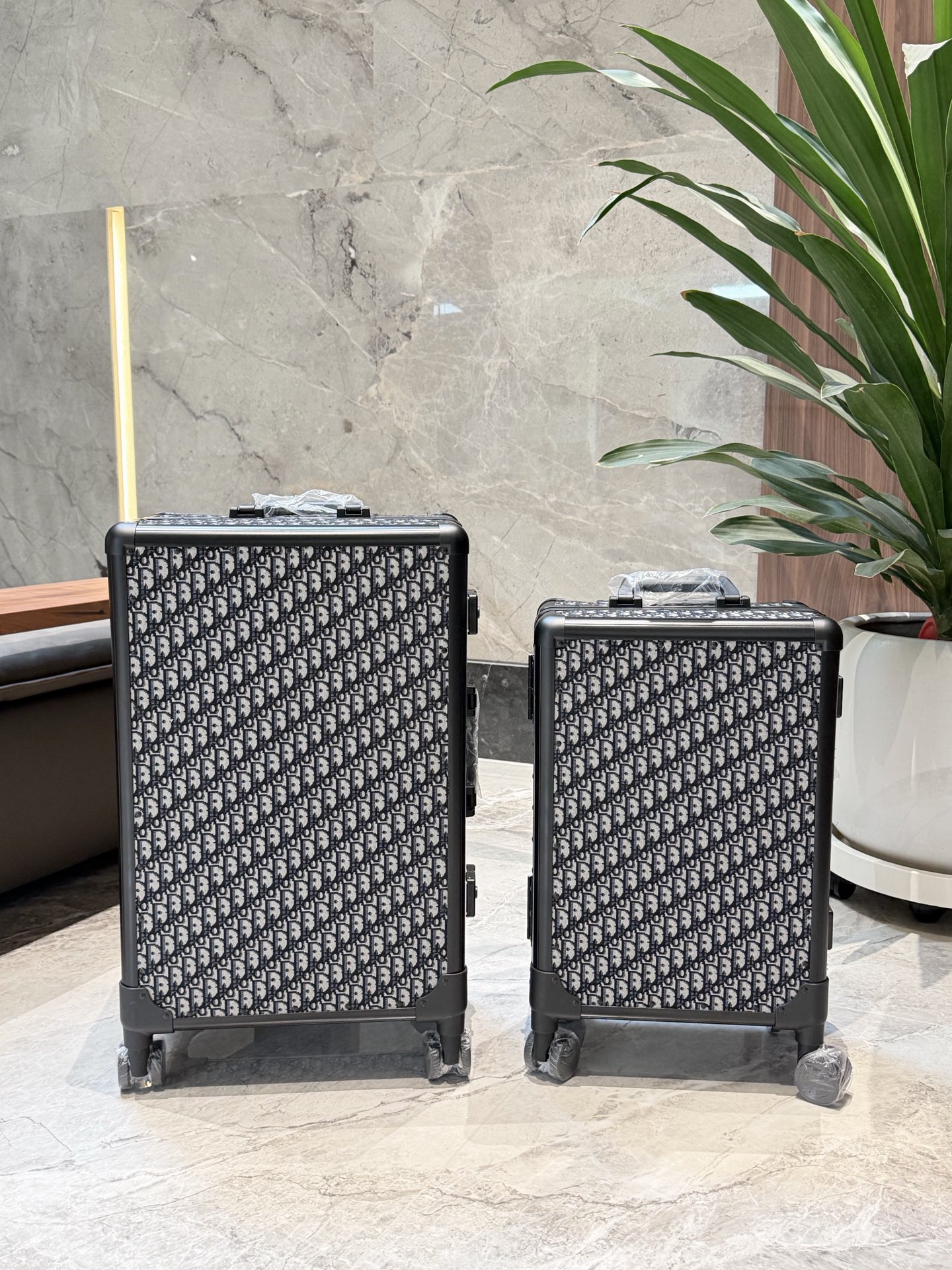 Dior luggage-28