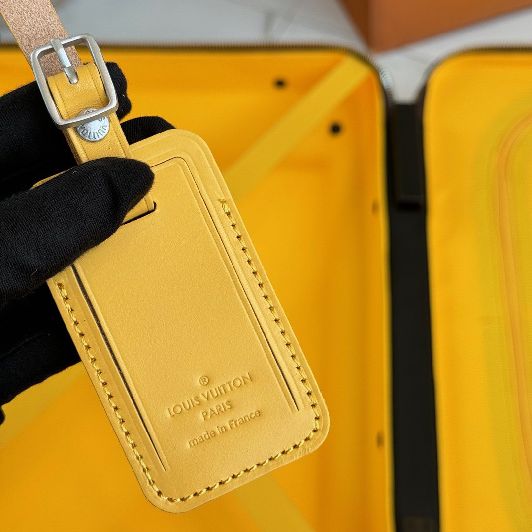 LV luggage-81