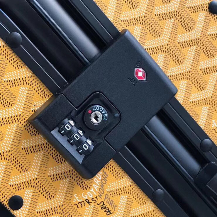 Goyard luggage-52