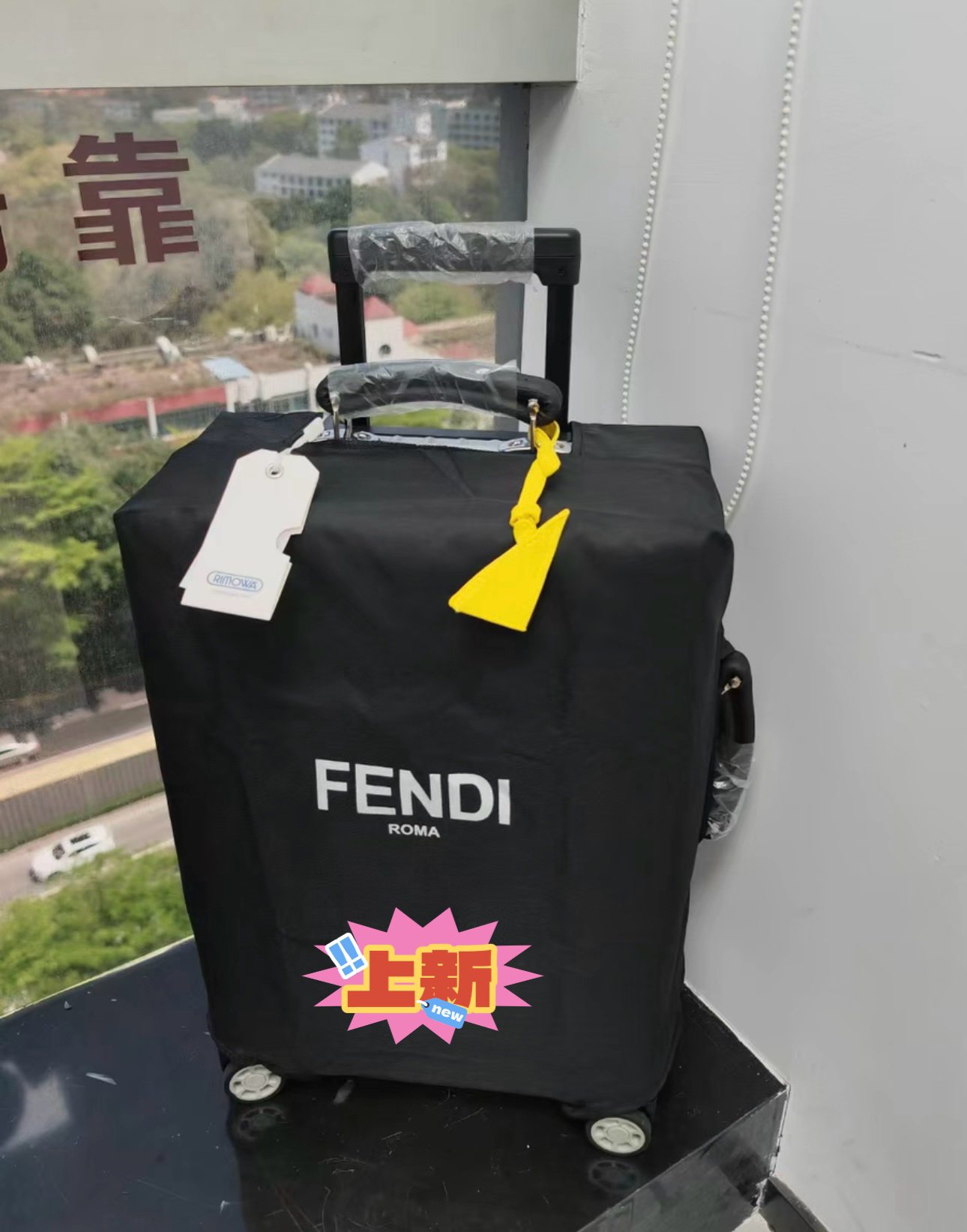 Fendi luggage-24