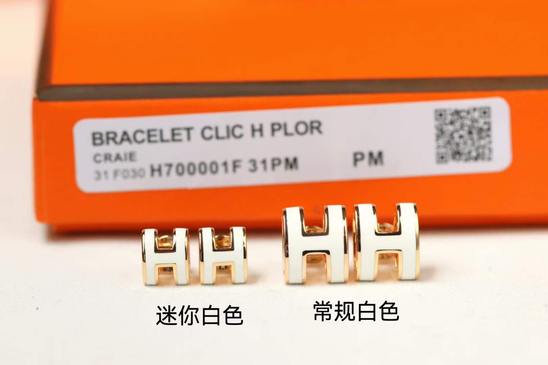 Hermes earrings-66