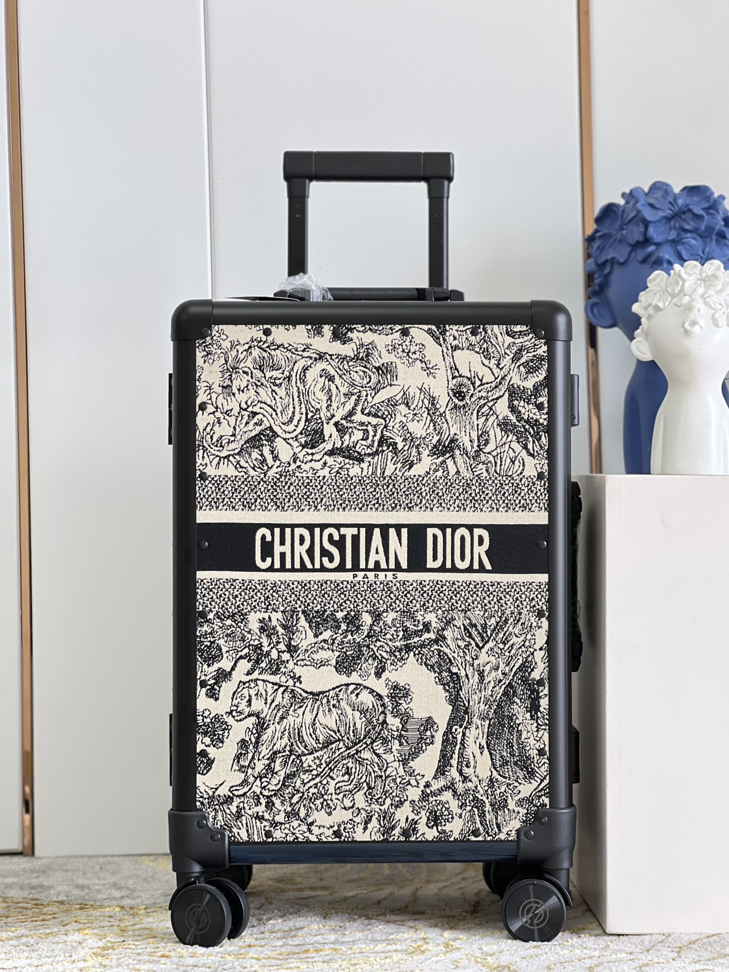 Dior luggage-34