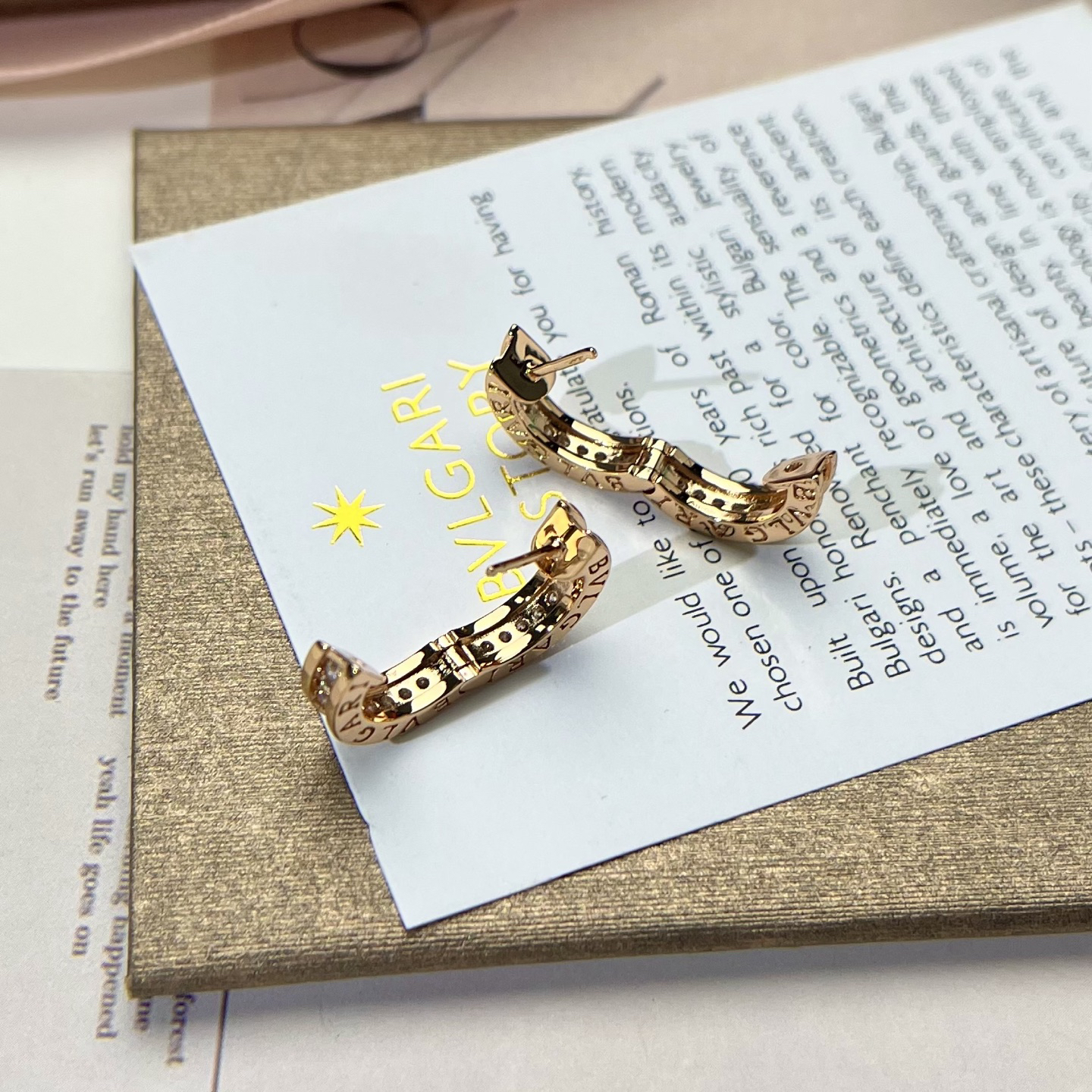 Bottega Veneta earrings-25