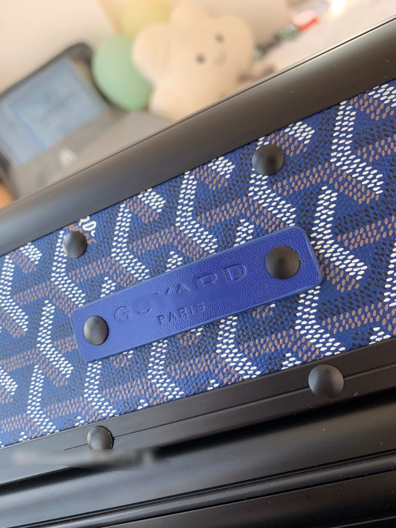 Goyard luggage-45