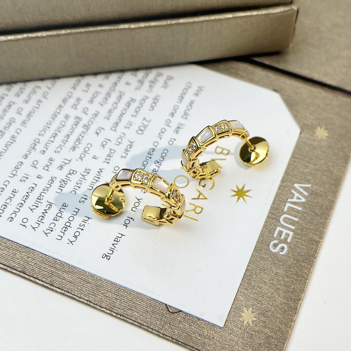 Bottega Veneta earrings-7