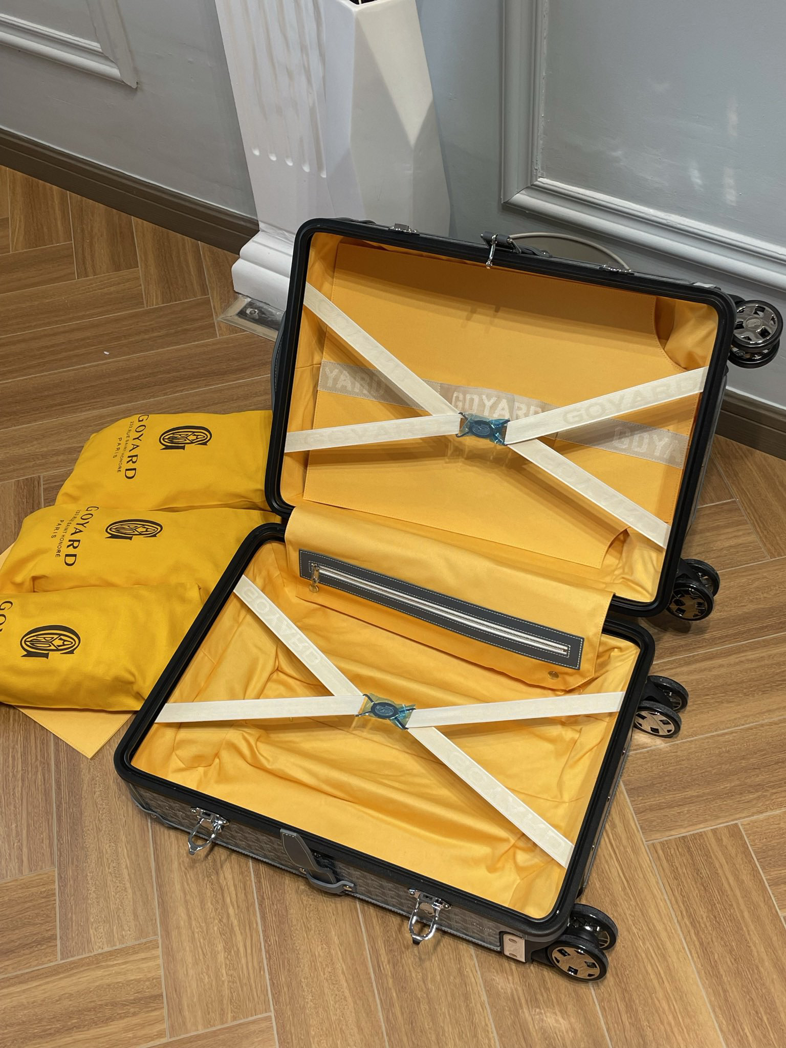 Goyard luggage-1