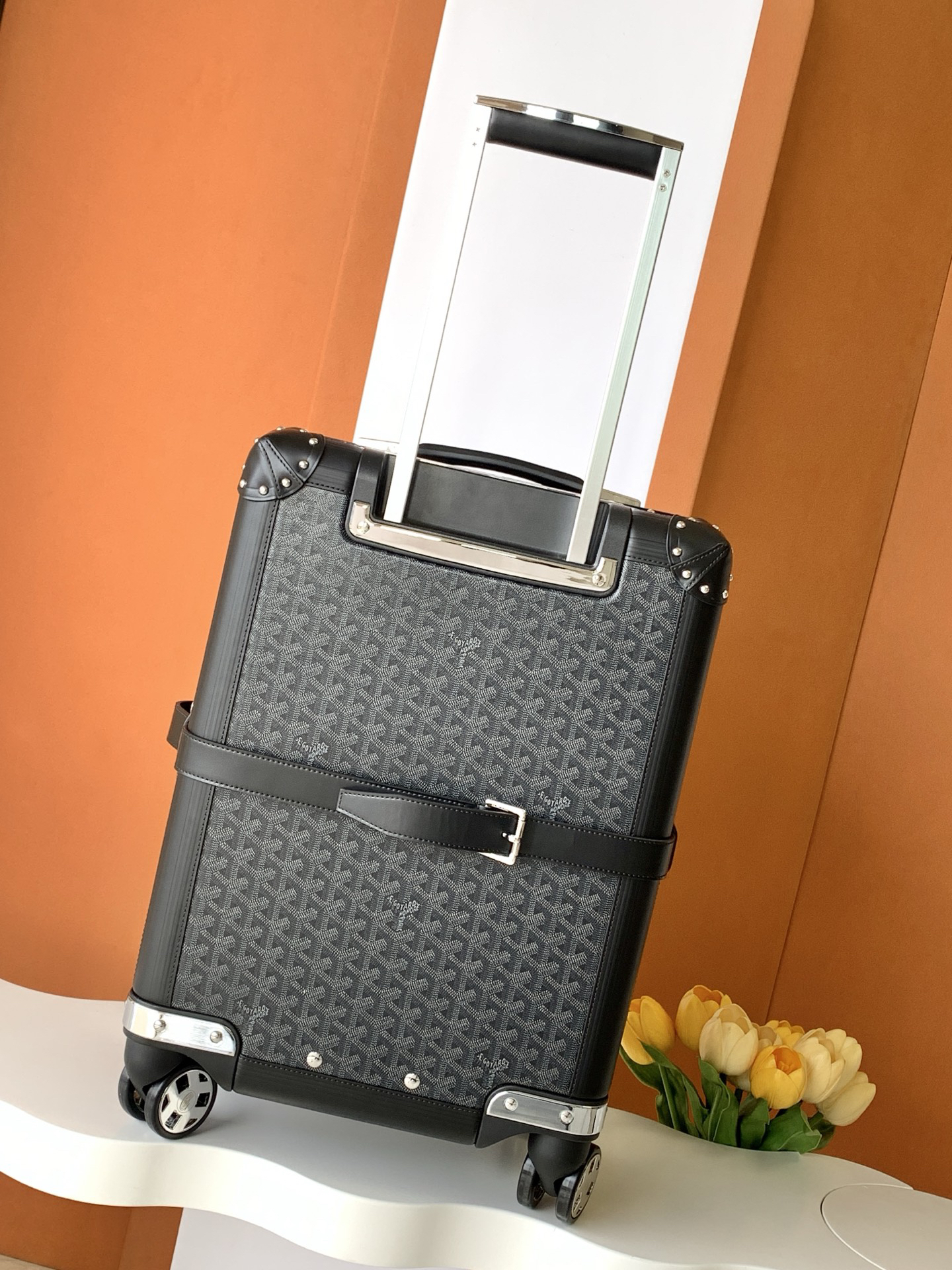 Goyard luggage-42