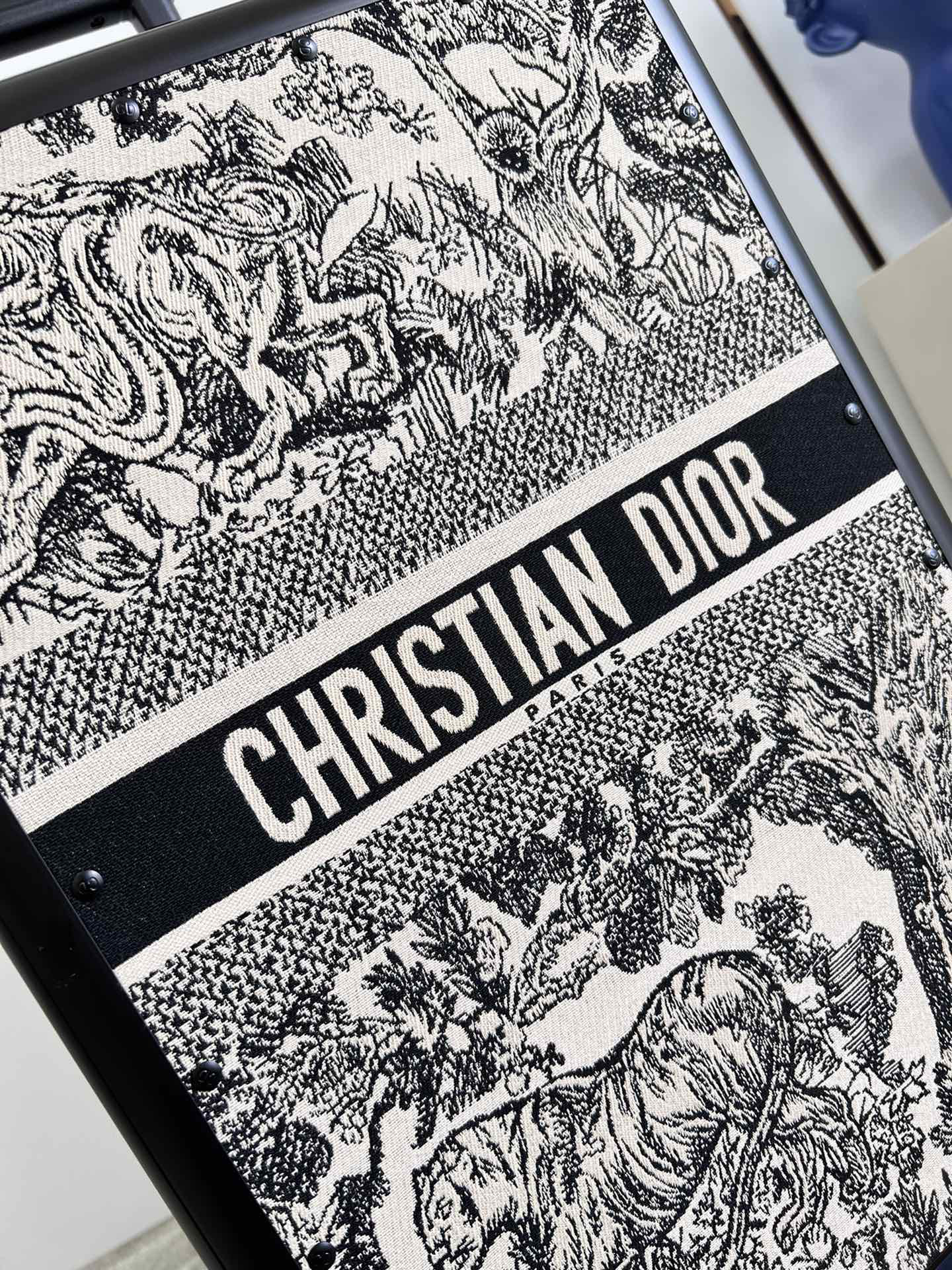 Dior luggage-34