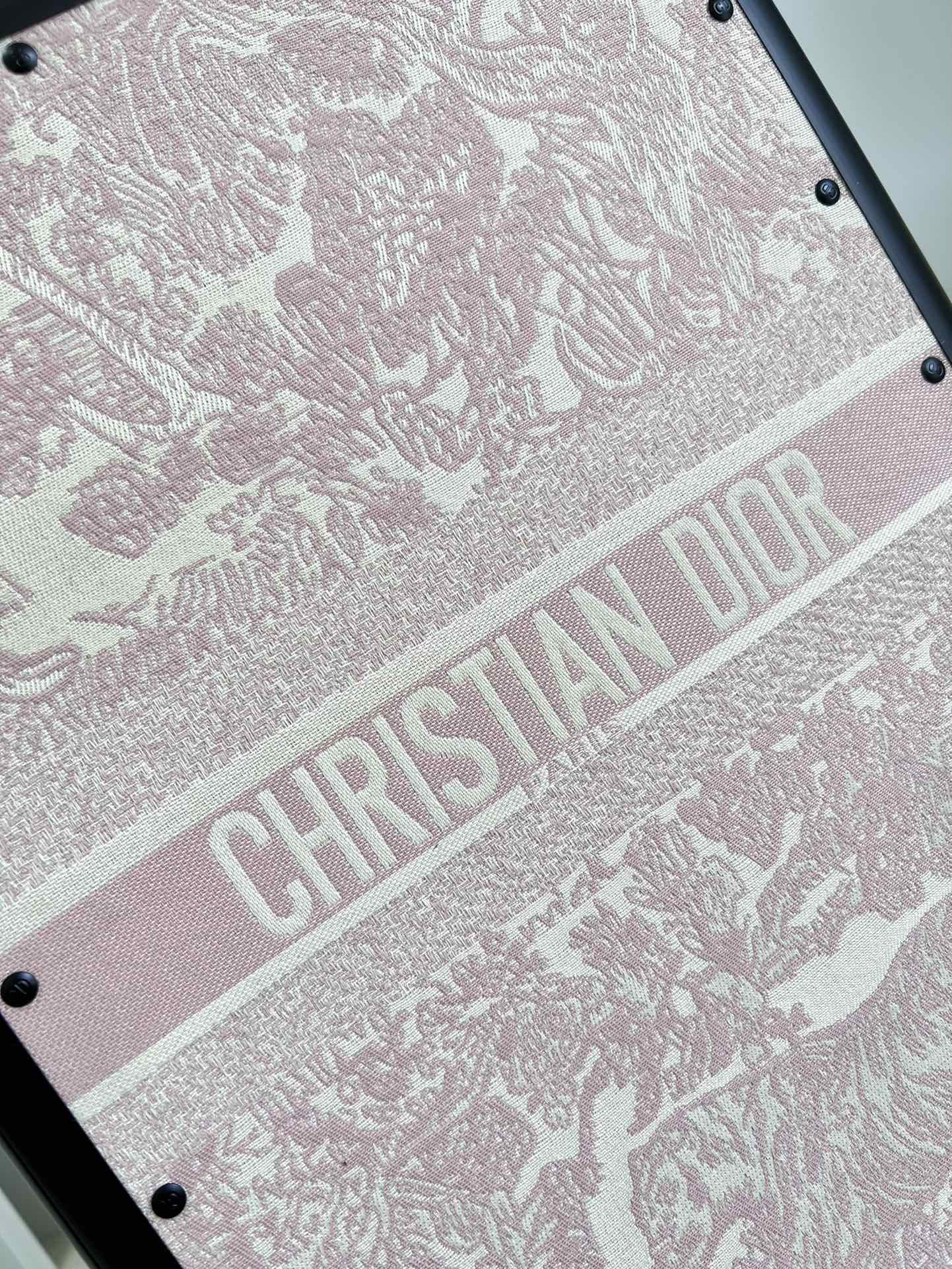 Dior luggage-32