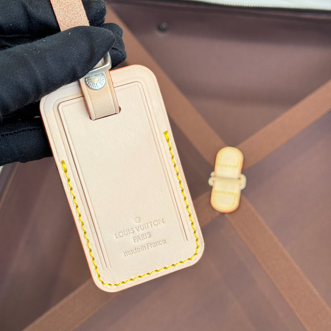 LV luggage-79
