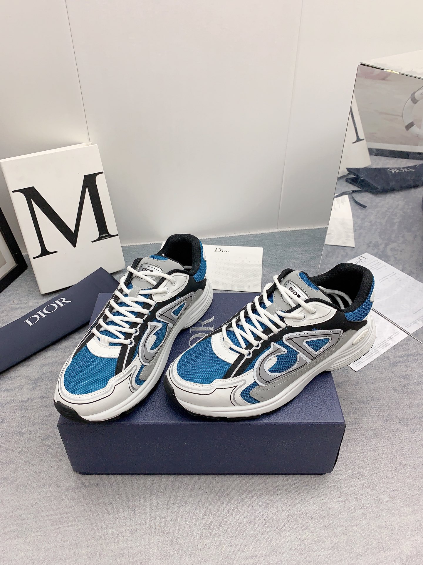 Dior Sneakers-109