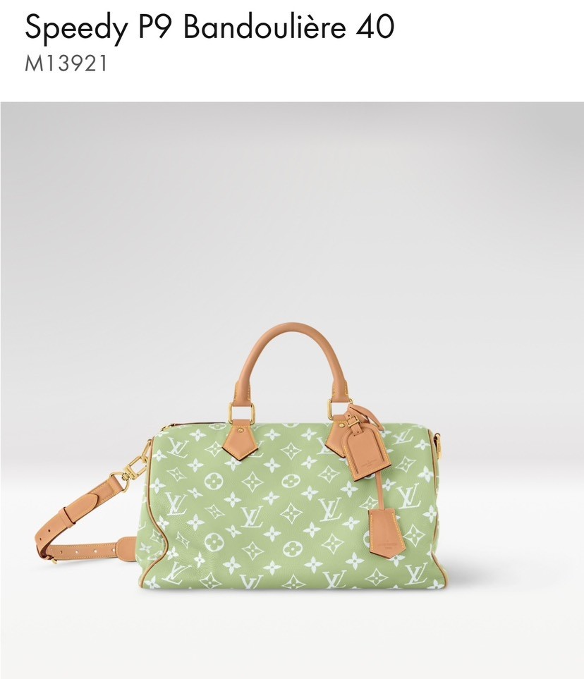 Louis Vuitton Hot New Product-115