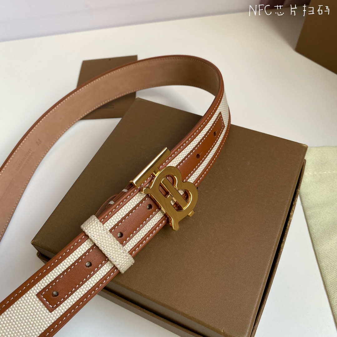 Burberry belt-3