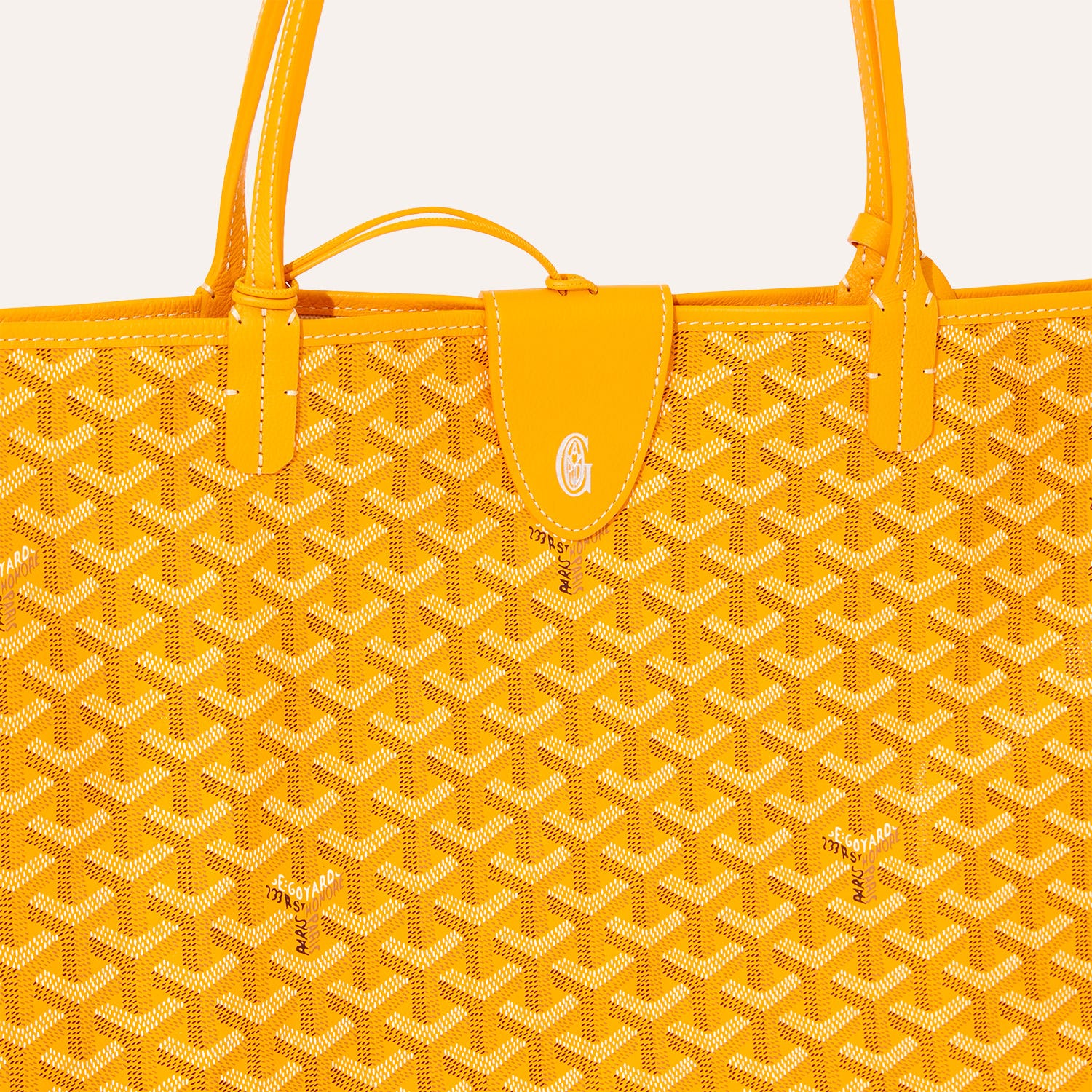 Saint Louis GM Bag