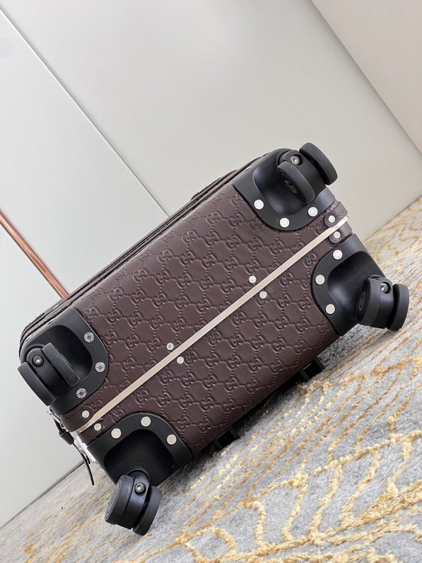 Gucci luggage-9