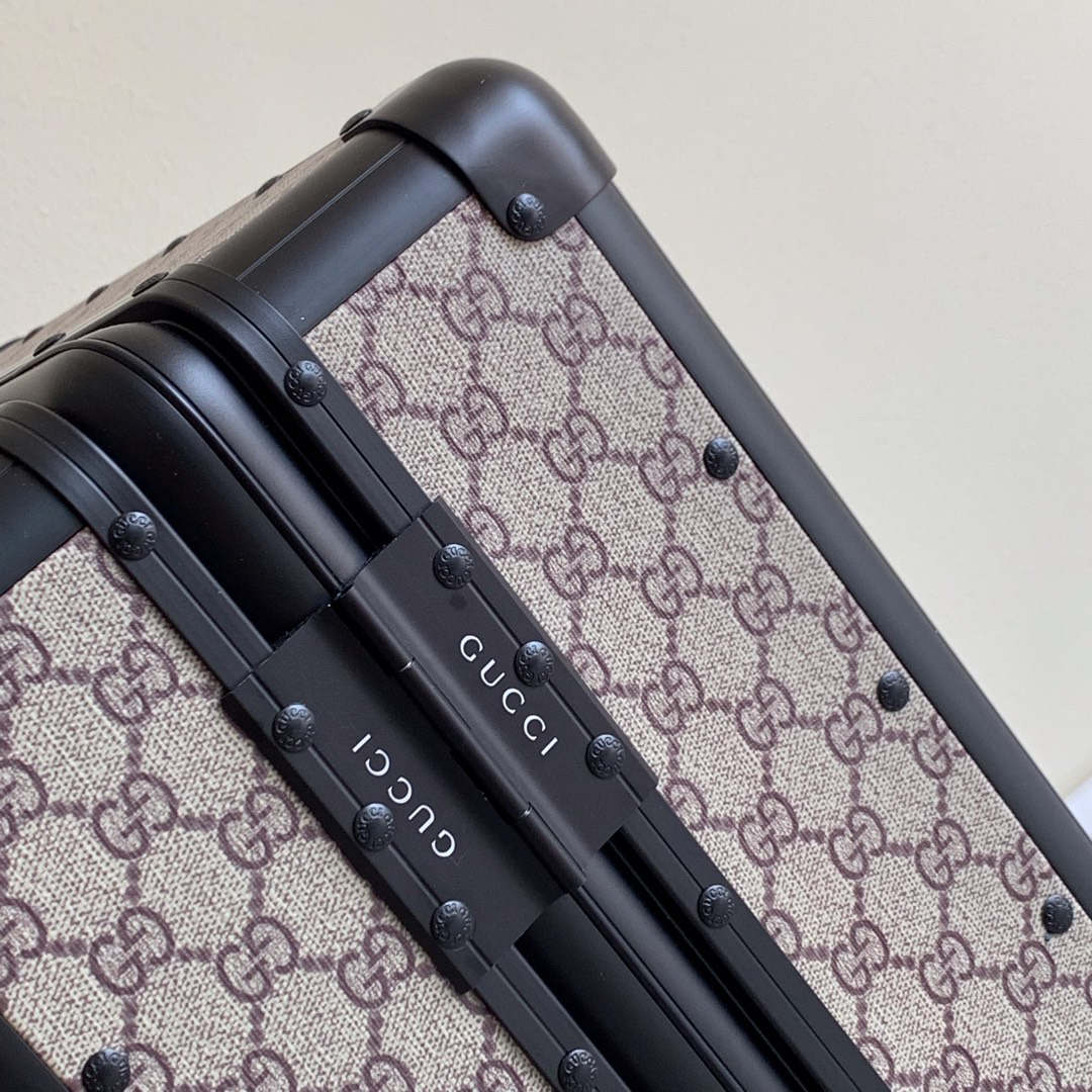 Gucci luggage-35