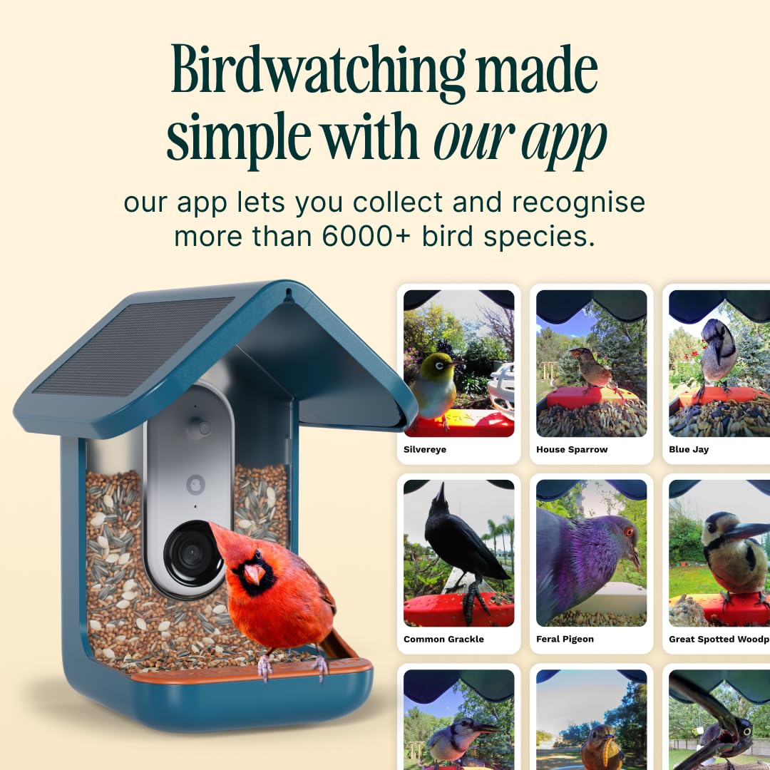 BIRD BUDDY Birdbuddy PRO Solar Smart Bird Feeder with Camera