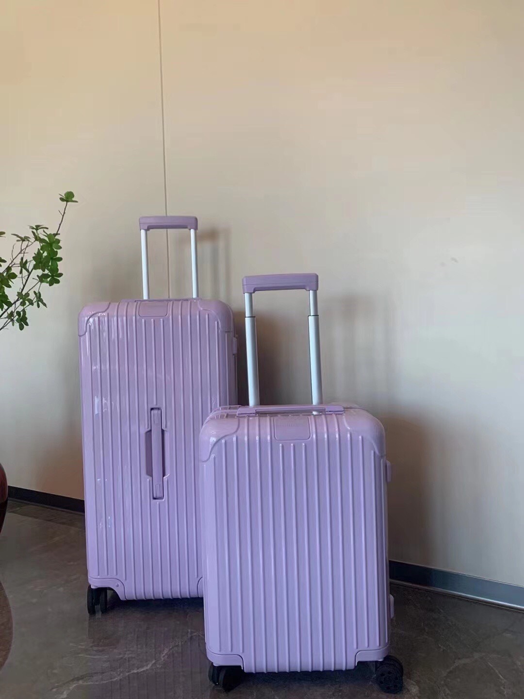 RIMOWA luggage-101