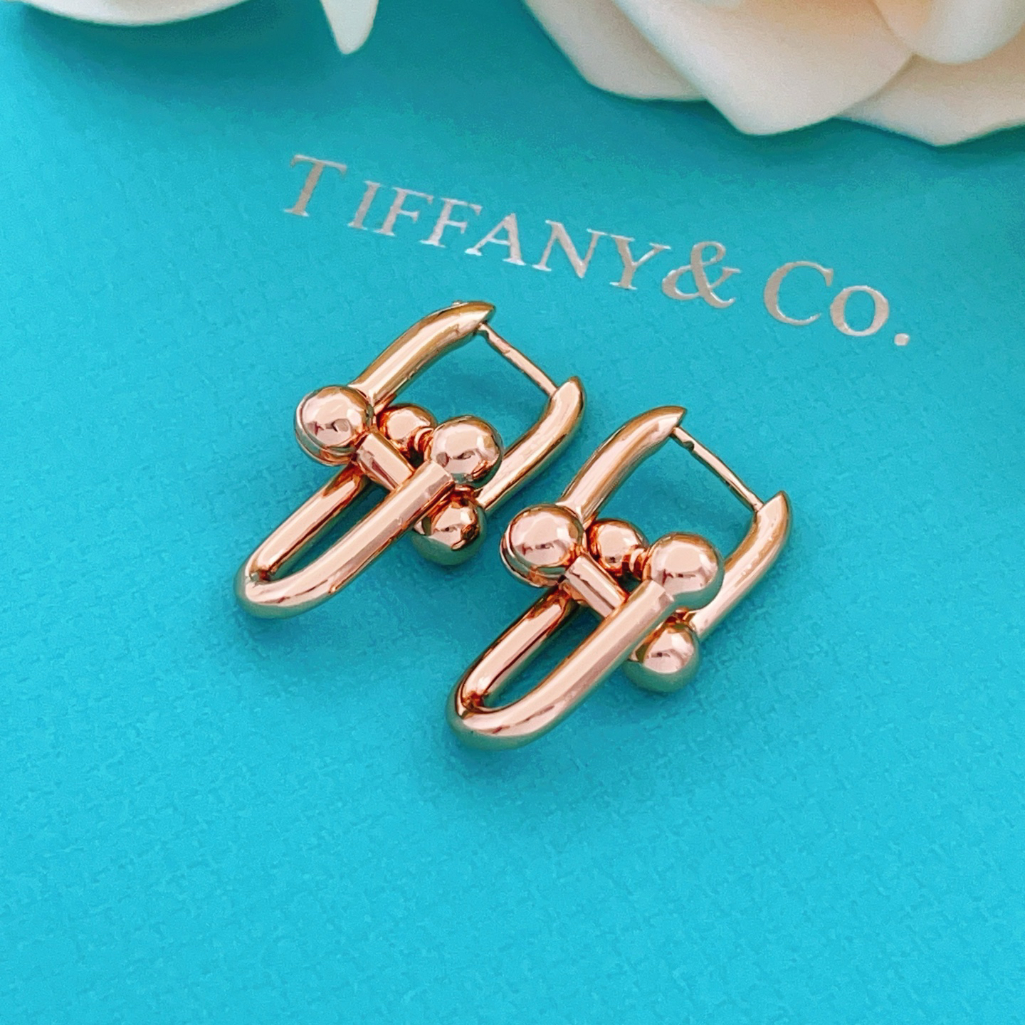 tiffany earrings-73