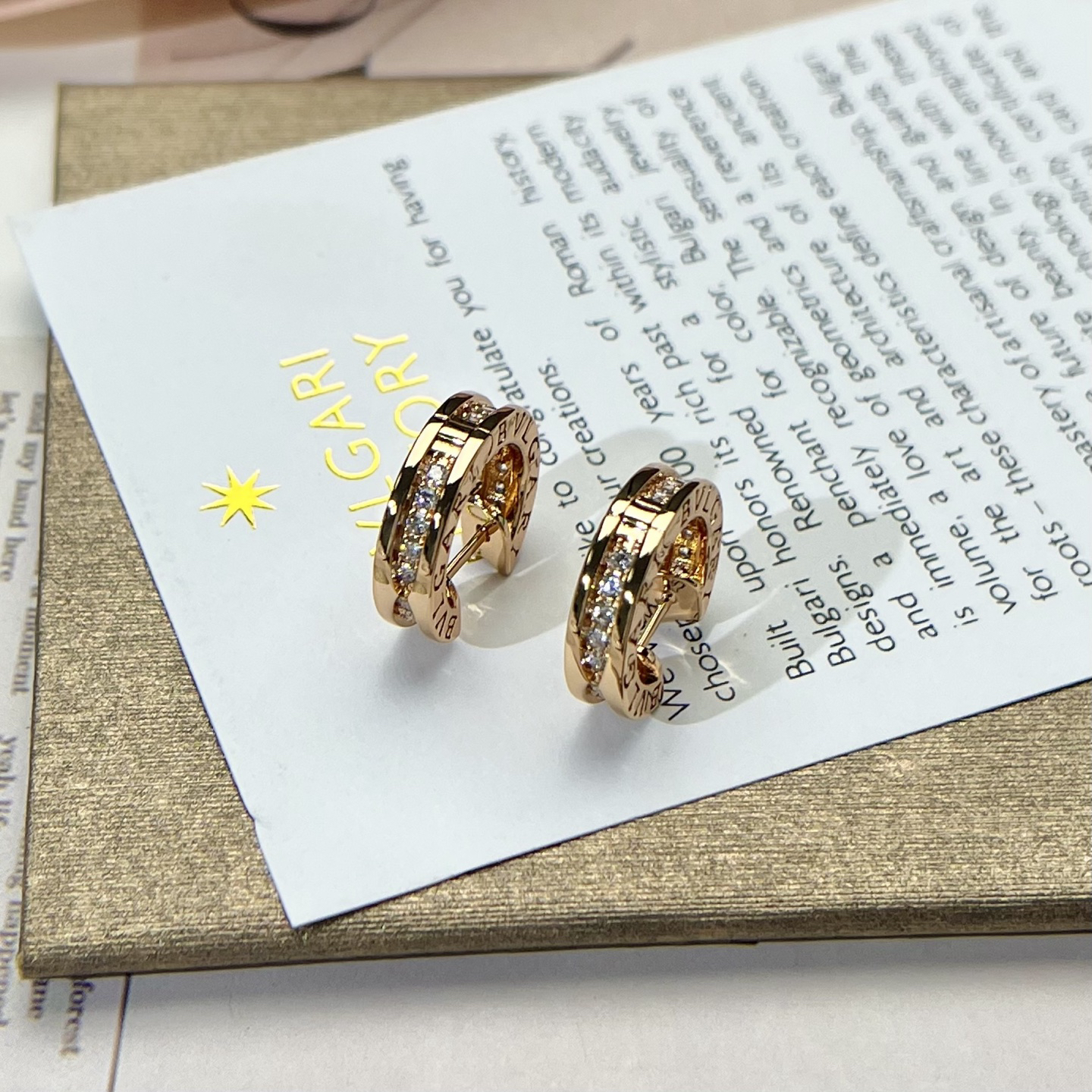 Bottega Veneta earrings-25