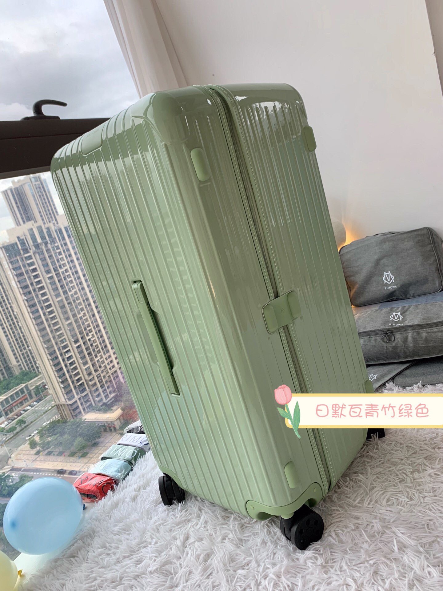 RIMOWA luggage-108