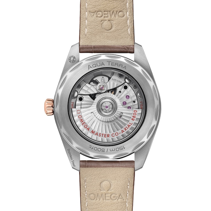 Seamaster Aqua Terra Co-Axial Master Chronometer 38mm Ladies Watch