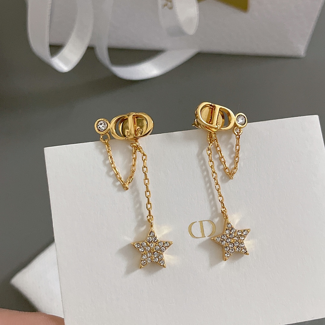 Dior earrings-40