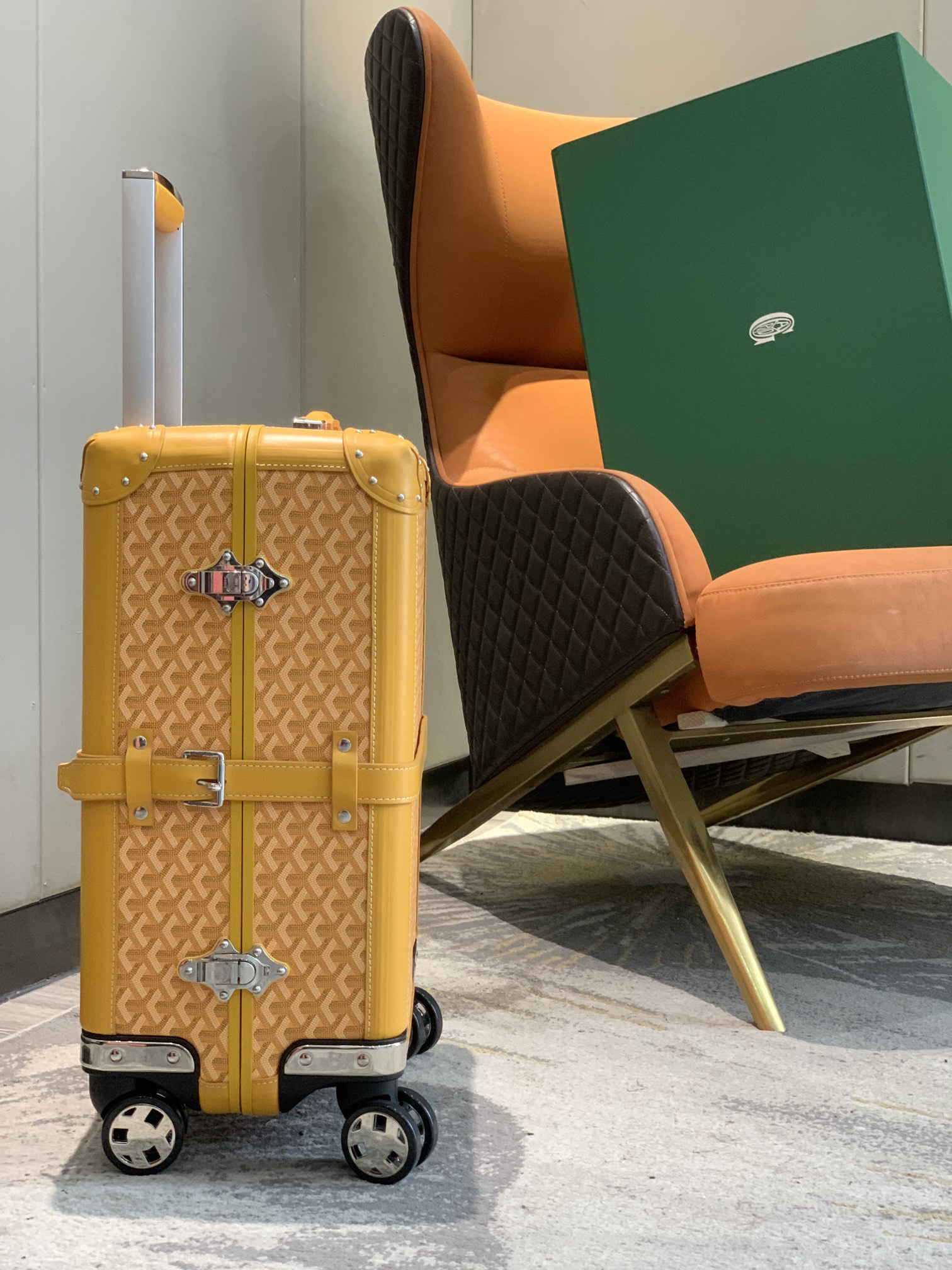 Goyard luggage-5