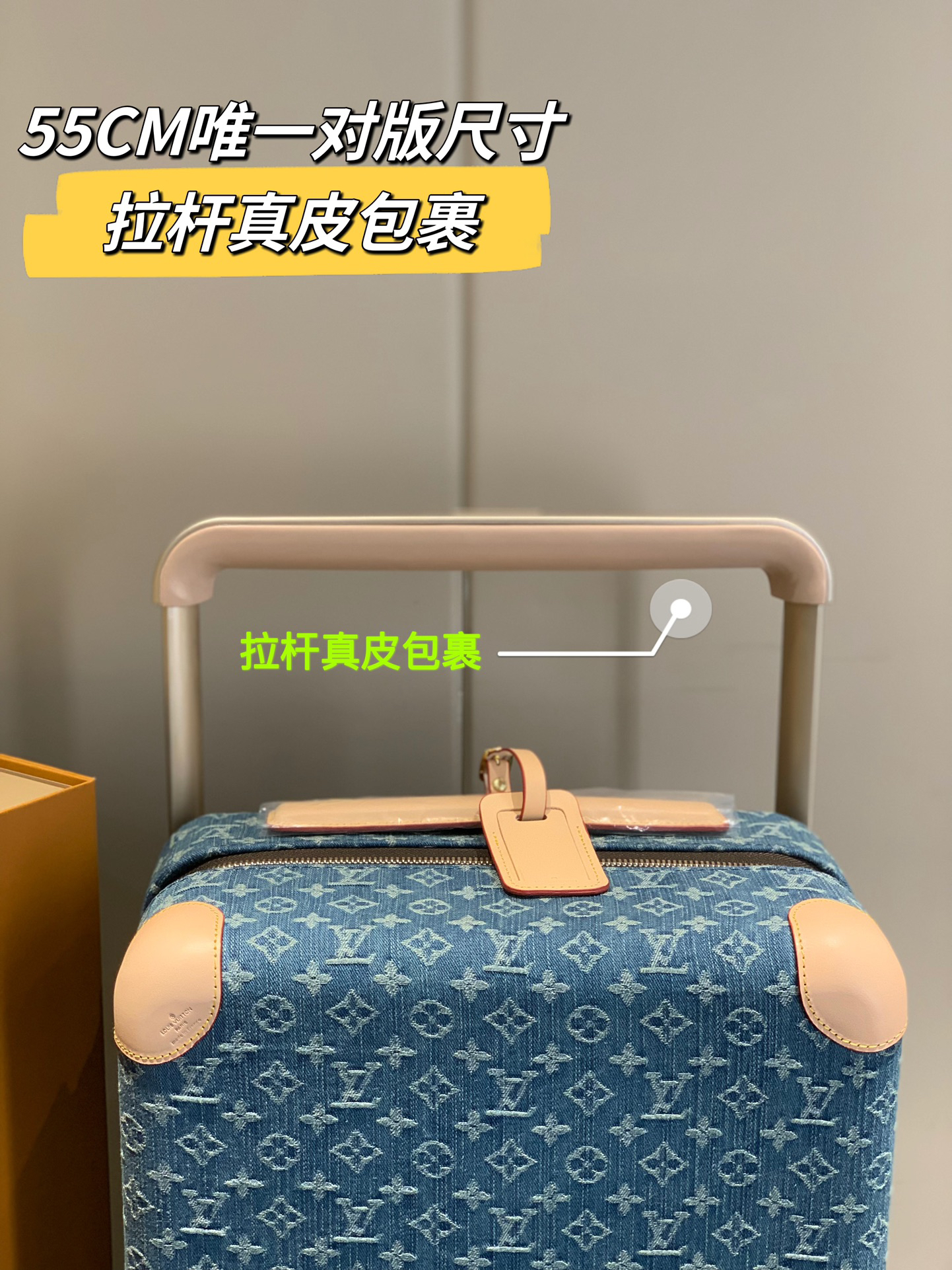 LV luggage-53
