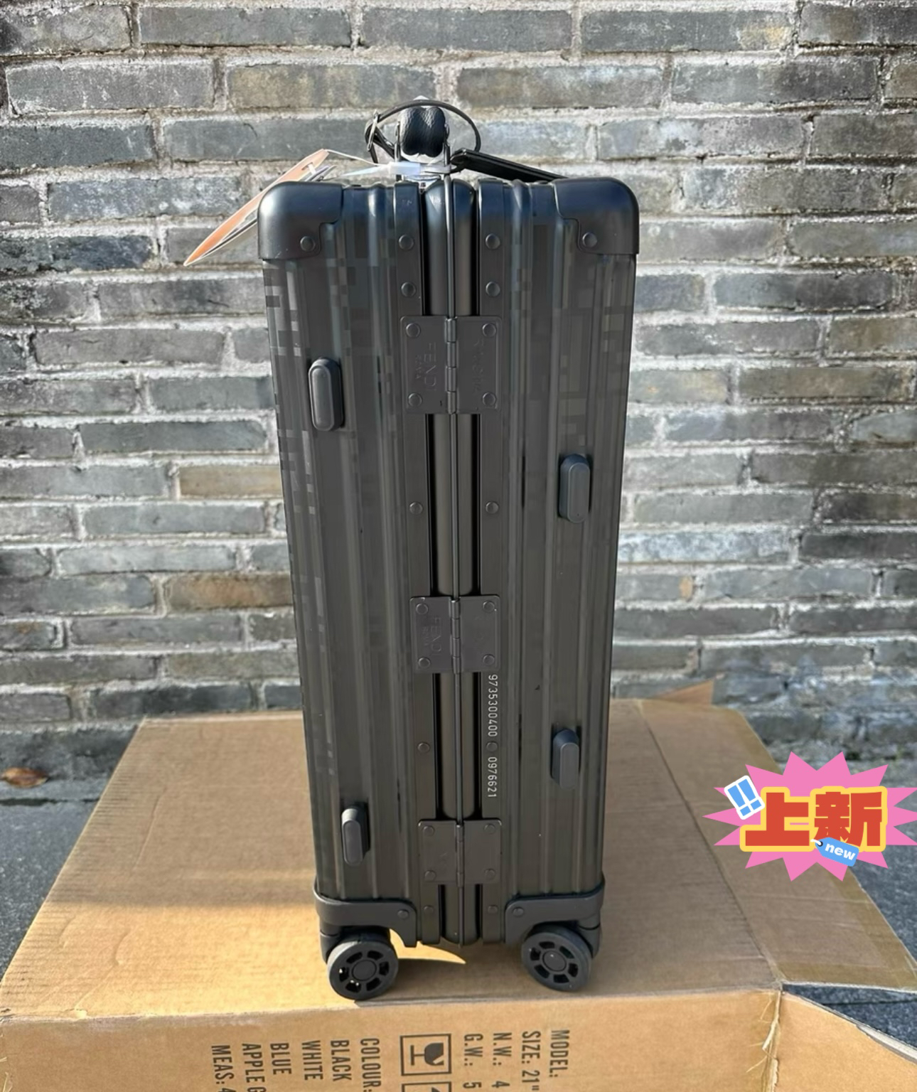 Fendi luggage-24