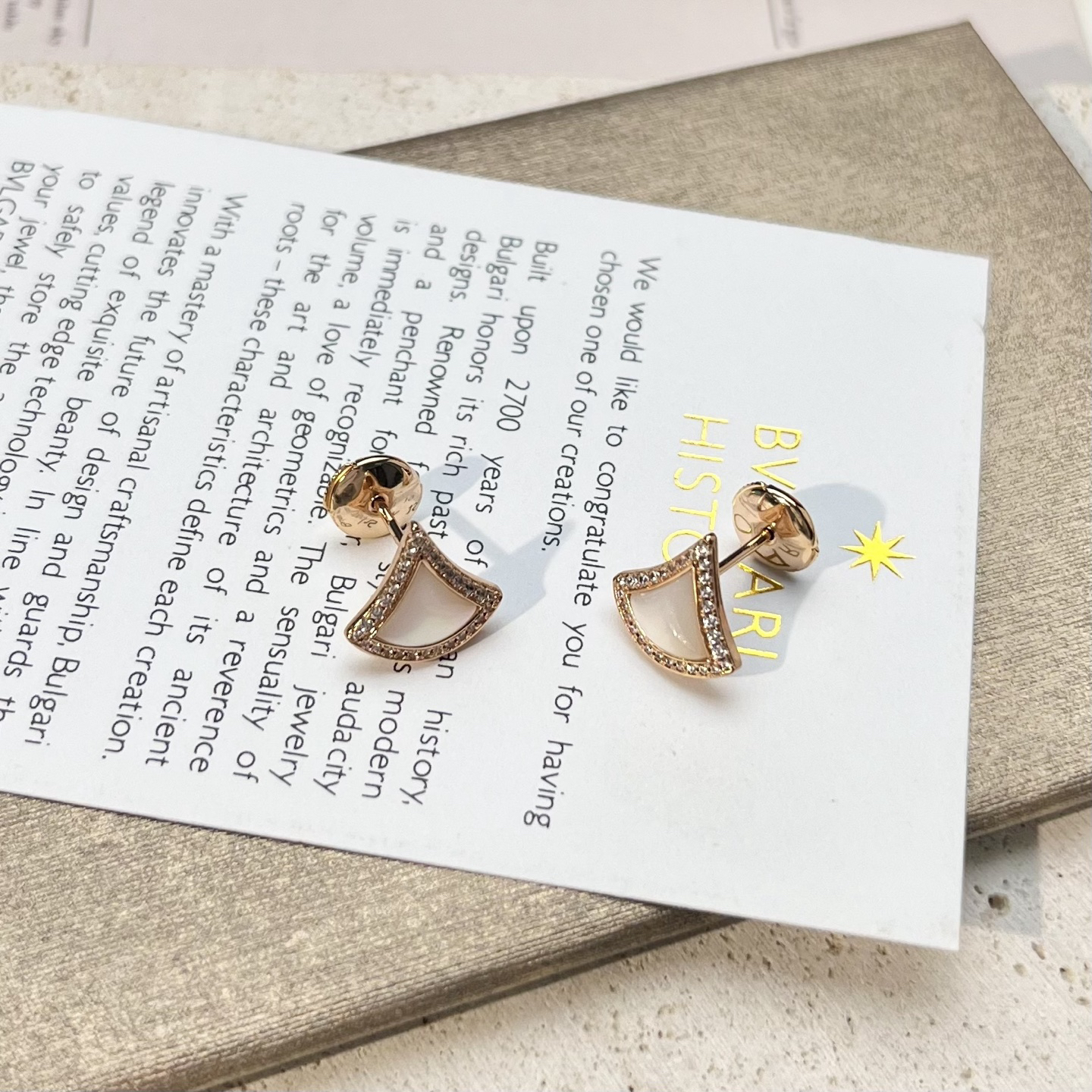 Bottega Veneta earrings-32