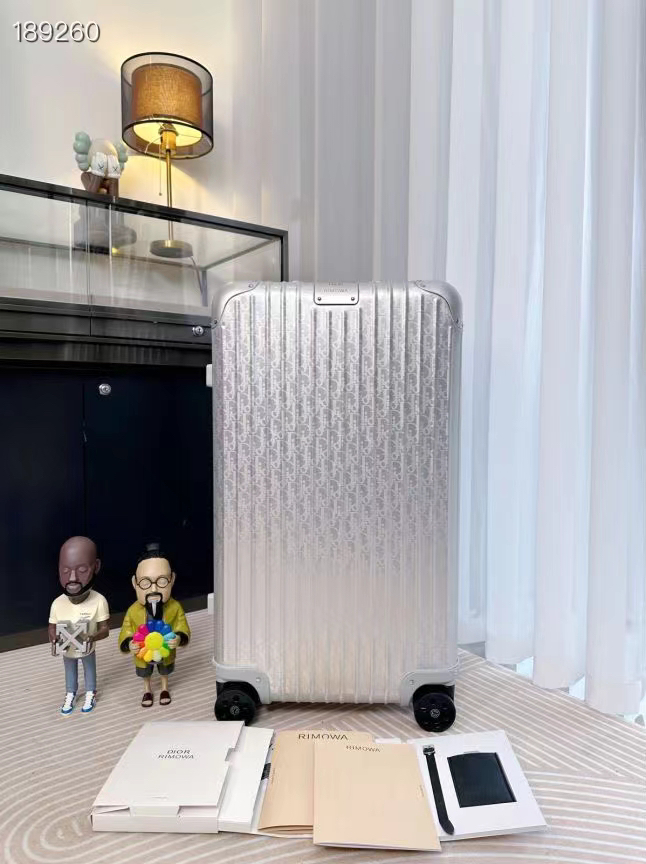 Dior luggage-3