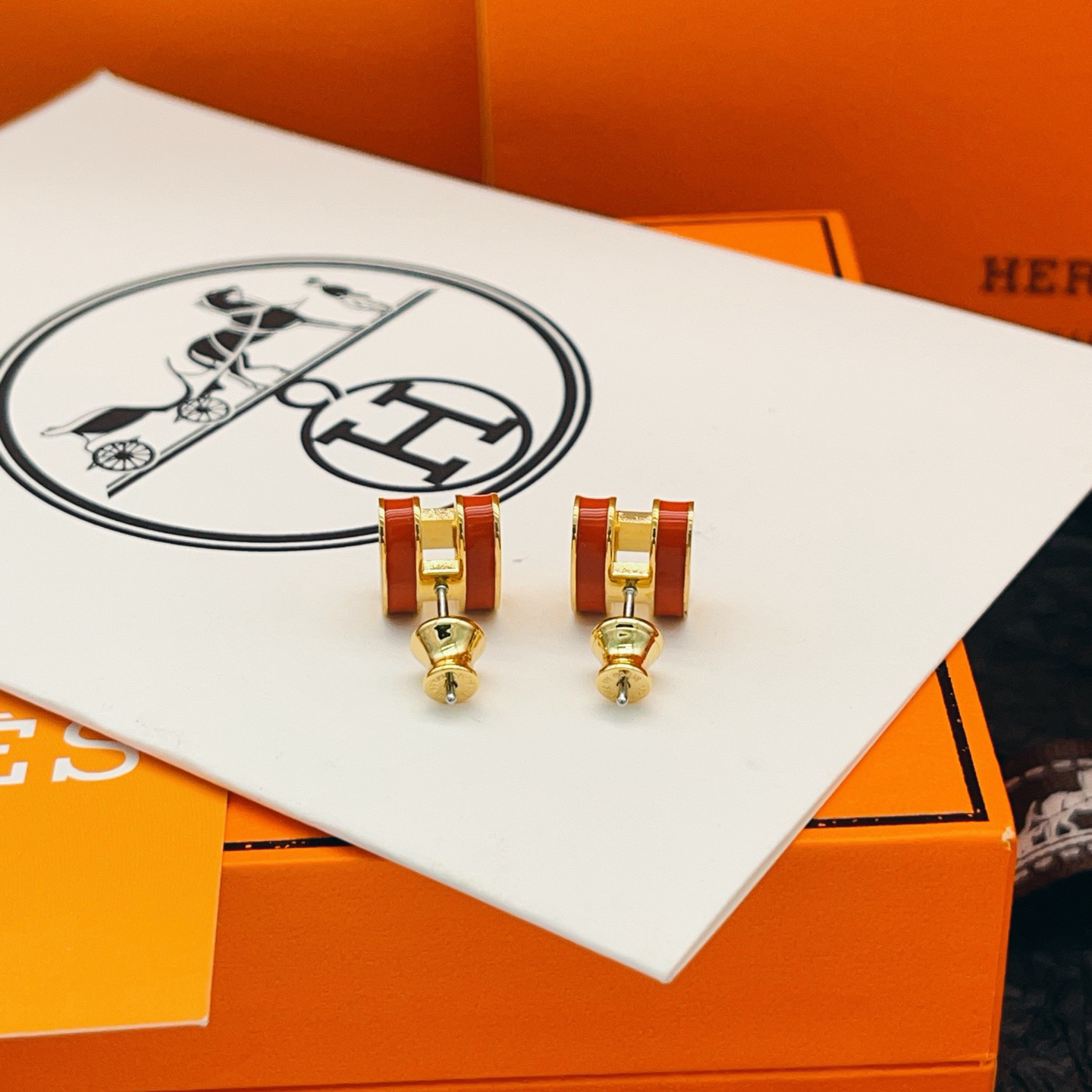 Hermes earrings-73