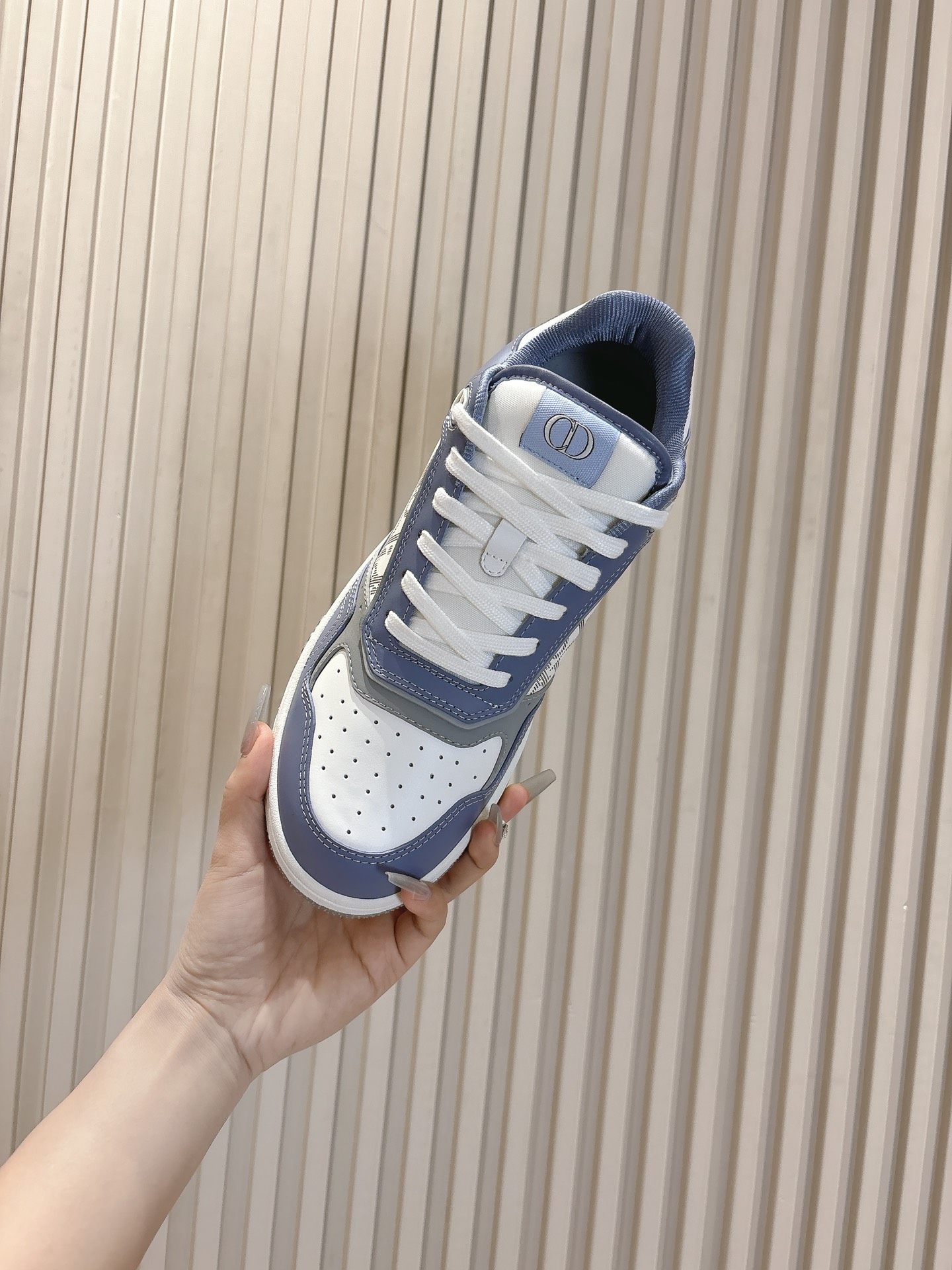 Dior Sneakers-127