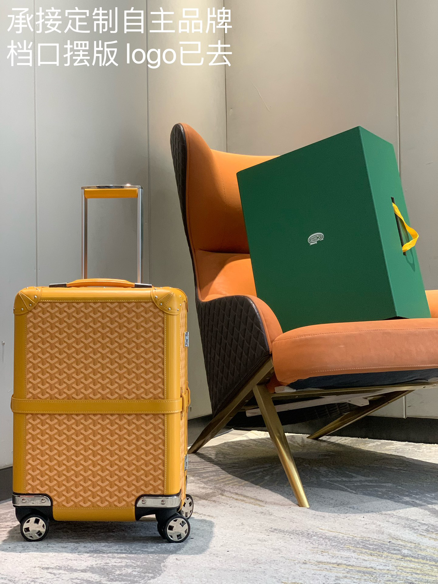 Goyard luggage-5