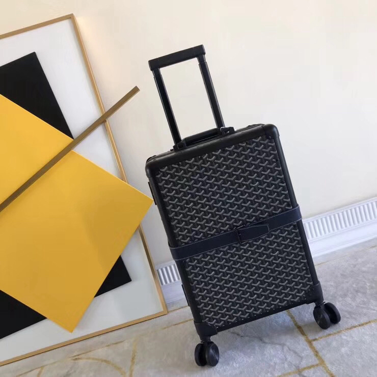 Goyard luggage-50